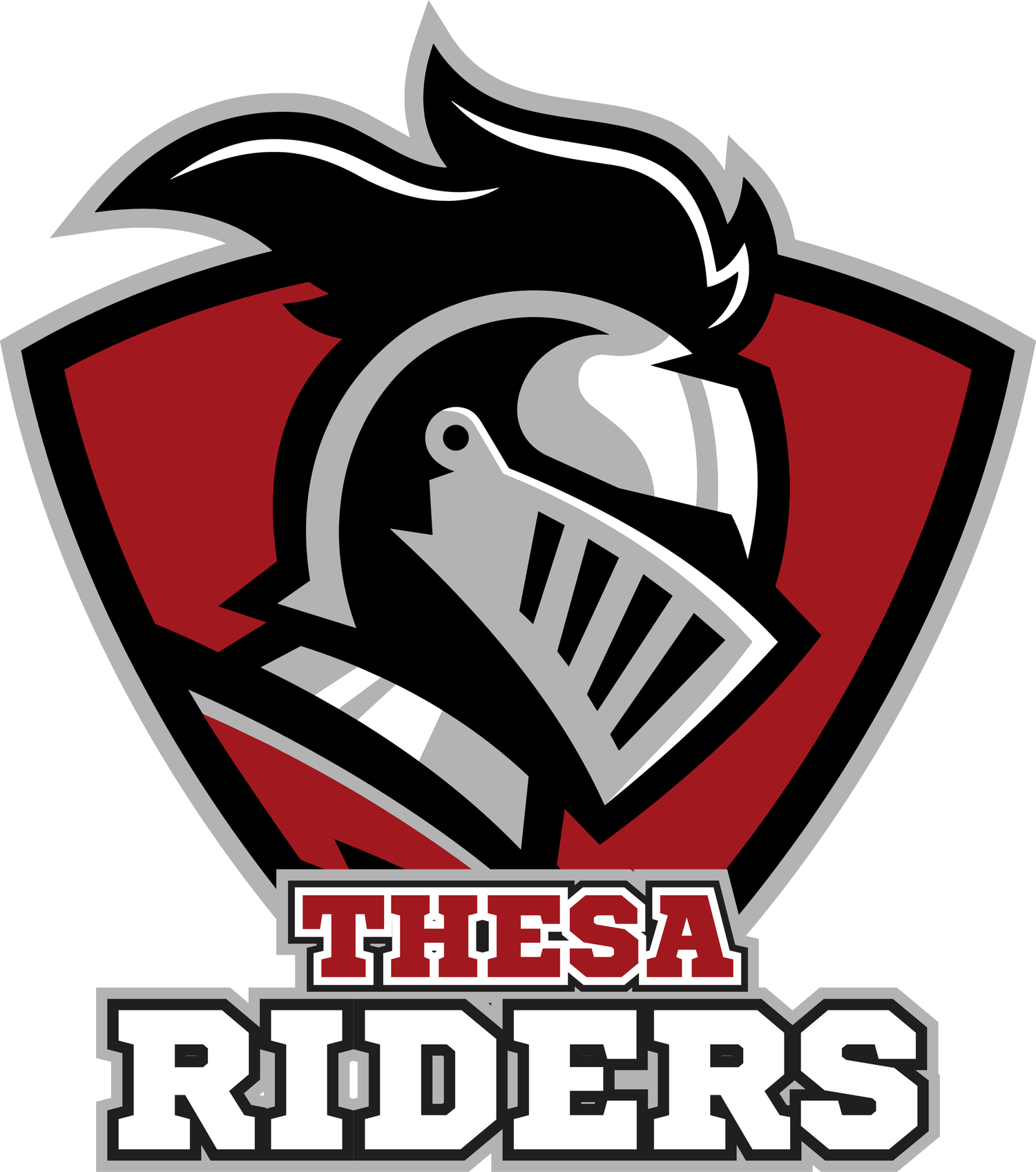 Texas Home Educators Sports Association | THESA