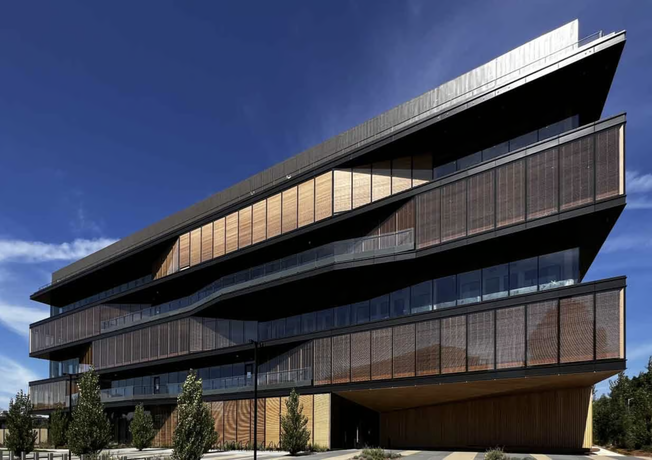 Google Borregas - Mass Timber, Sunnyvale