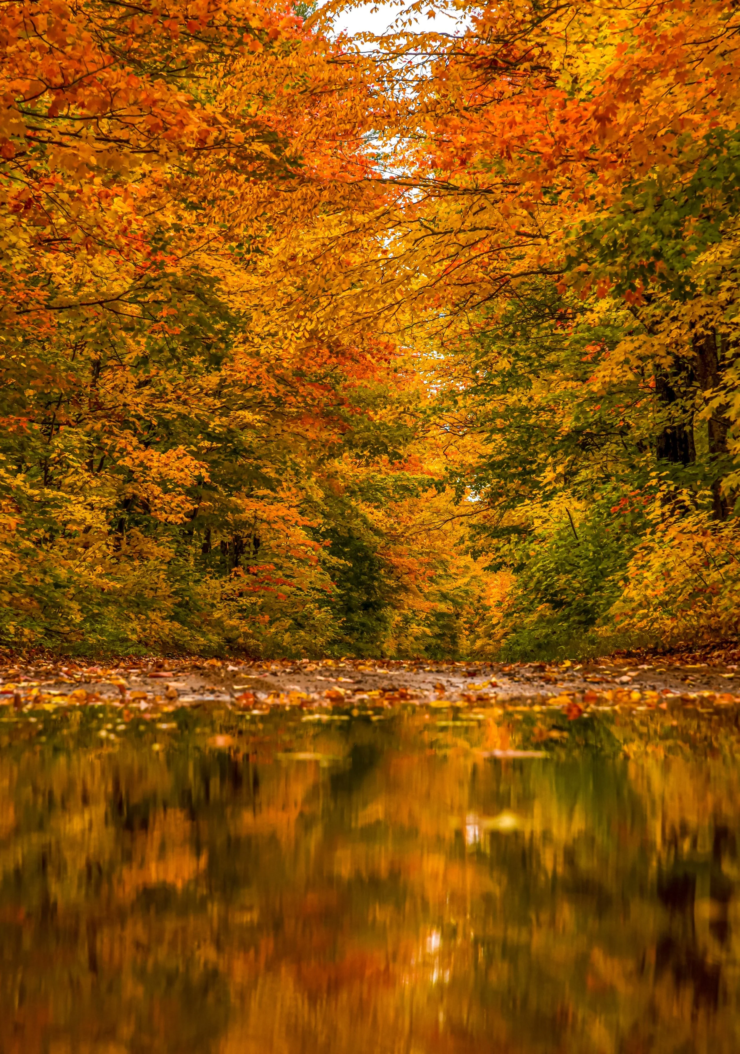 Fall Reflections.JPG