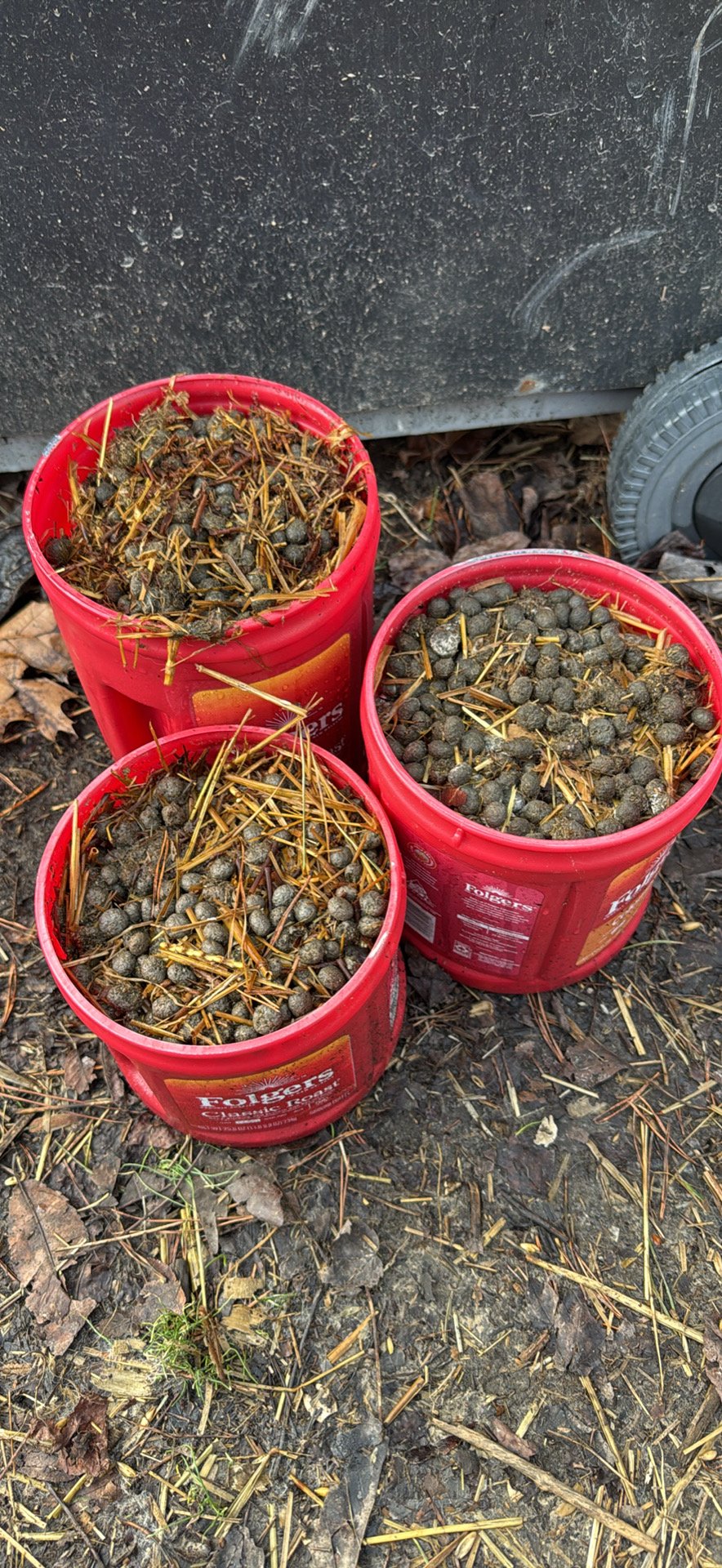 5lb Organic Manure