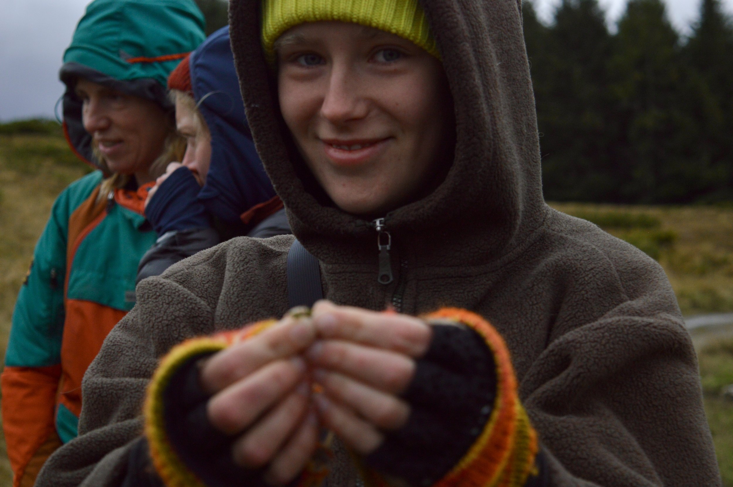 DSC_0290 1.jpeg