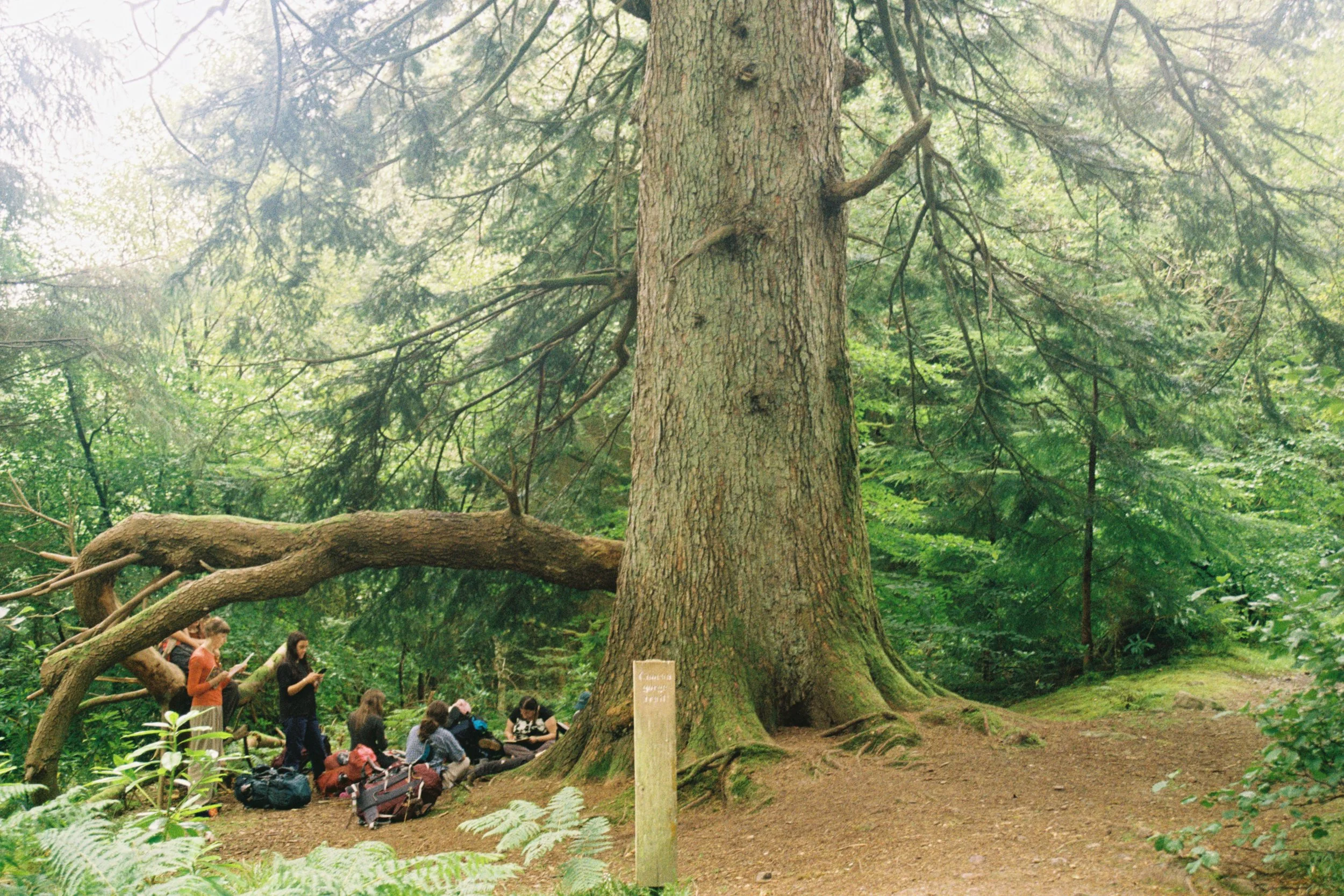 Camping Trips