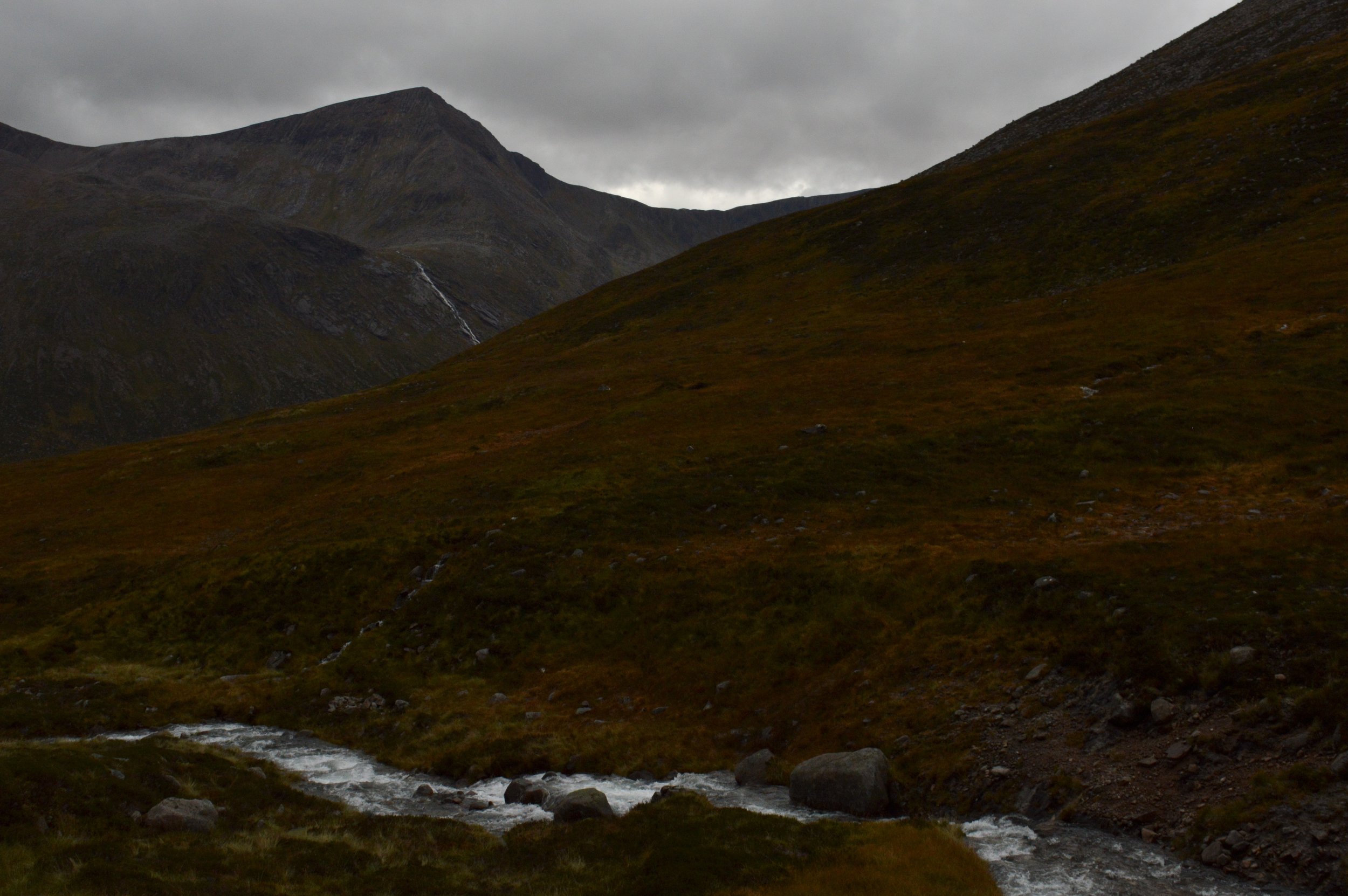 8E092E1B-FE51-4335-A682-4AC9235CEB08_1_201_a.jpeg