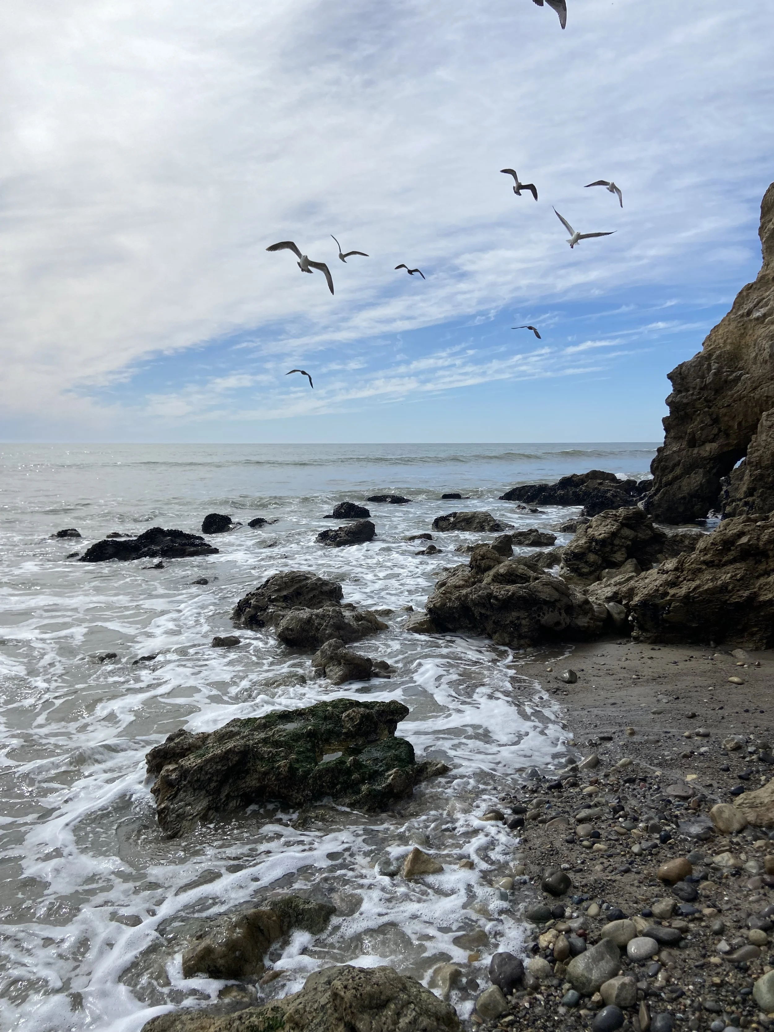 Rocky ocean shoreline with waves and seagulls flying overhead, partly cloudy sky.