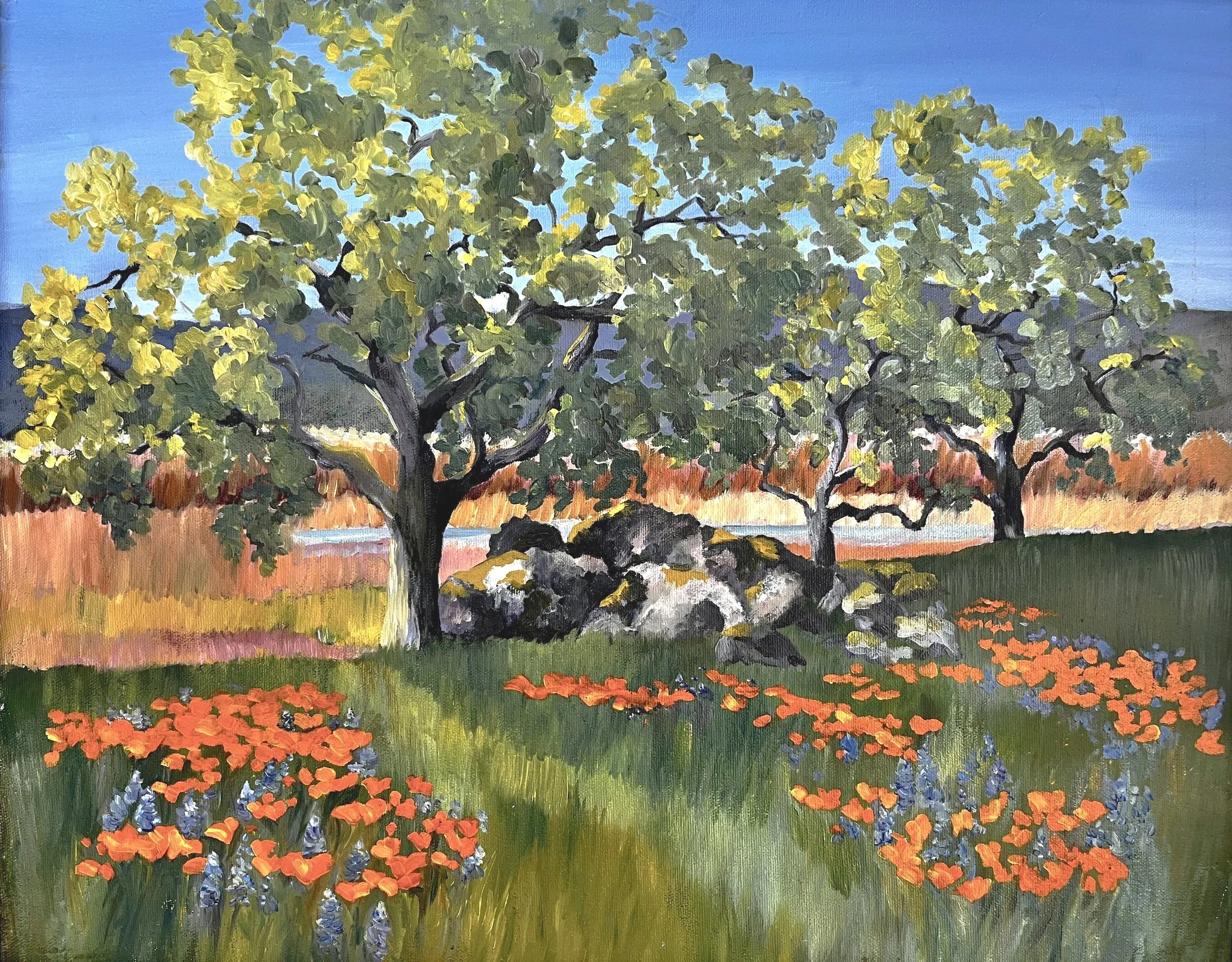 "California Spring"