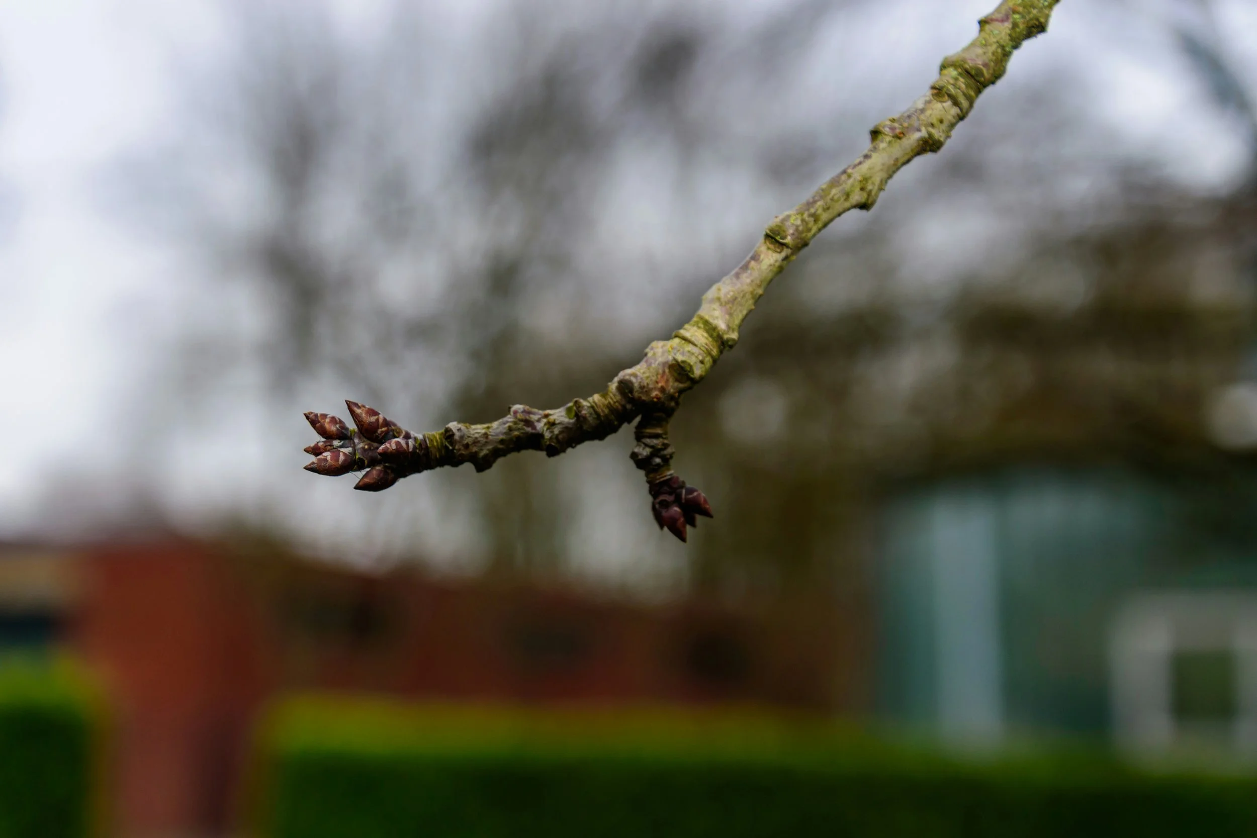 A Reflection On Anticipatory Grief