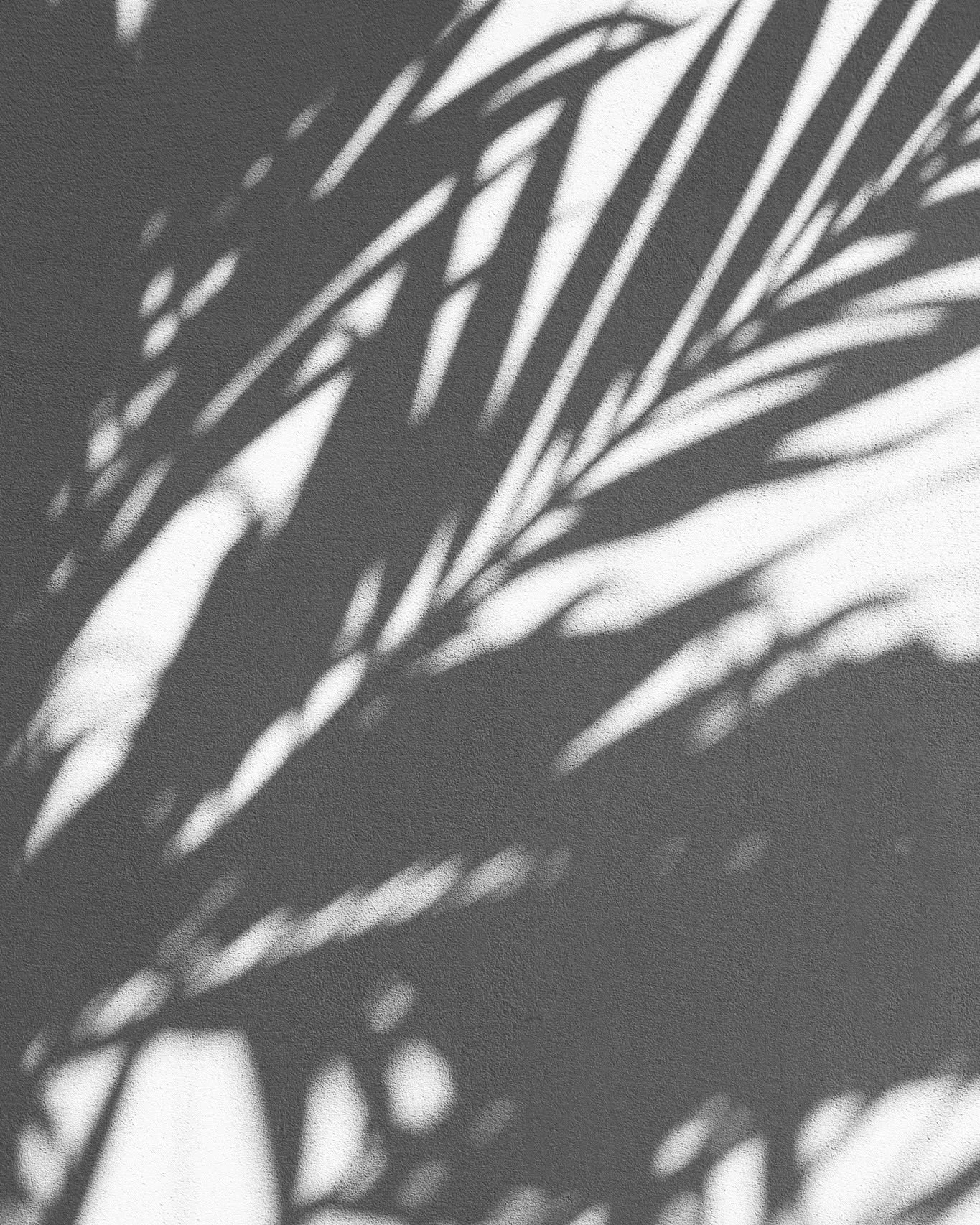 🌿 Confiance en soi vs sur-confiance : trouver le juste milieu

Sur cette image, l&rsquo;ombre et la lumi&egrave;re se compl&egrave;tent.
Trop de lumi&egrave;re &eacute;crase les nuances, trop d&rsquo;ombre emp&ecirc;che d&rsquo;y voir clair.
En entr