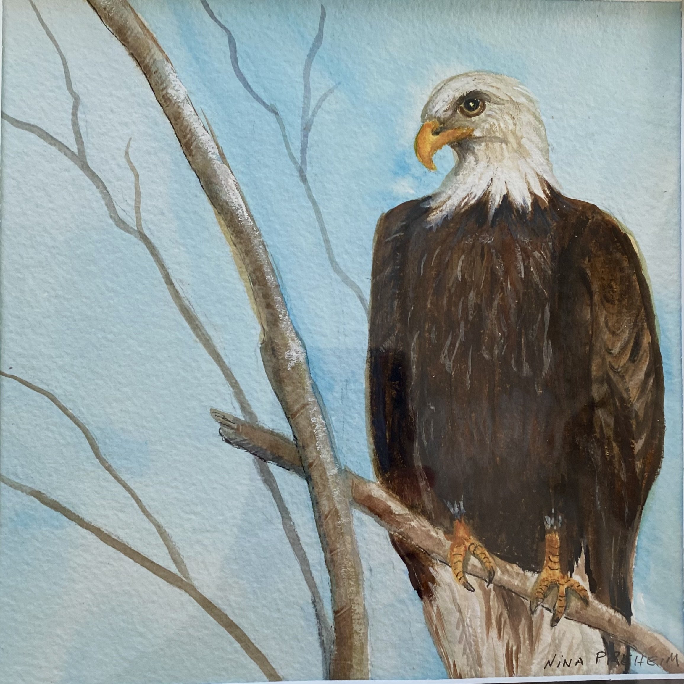 "Just Watching" - Watercolor - Framed - 8 X 8 - $100.00