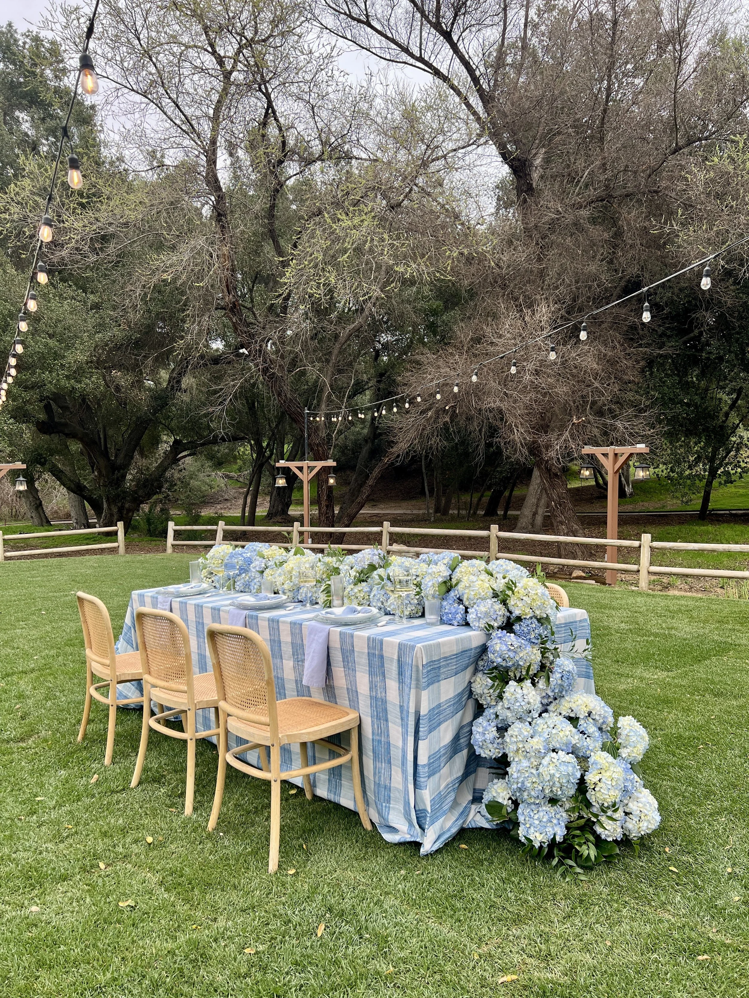 Outdoor dining setup with a blue plaid tablecloth on a rectangular table, surrounded by wooden chairs. The table is adorned with a centerpiece of blue and white hydrangeas. String lights hang above, and trees with sparse leaves are in the background.