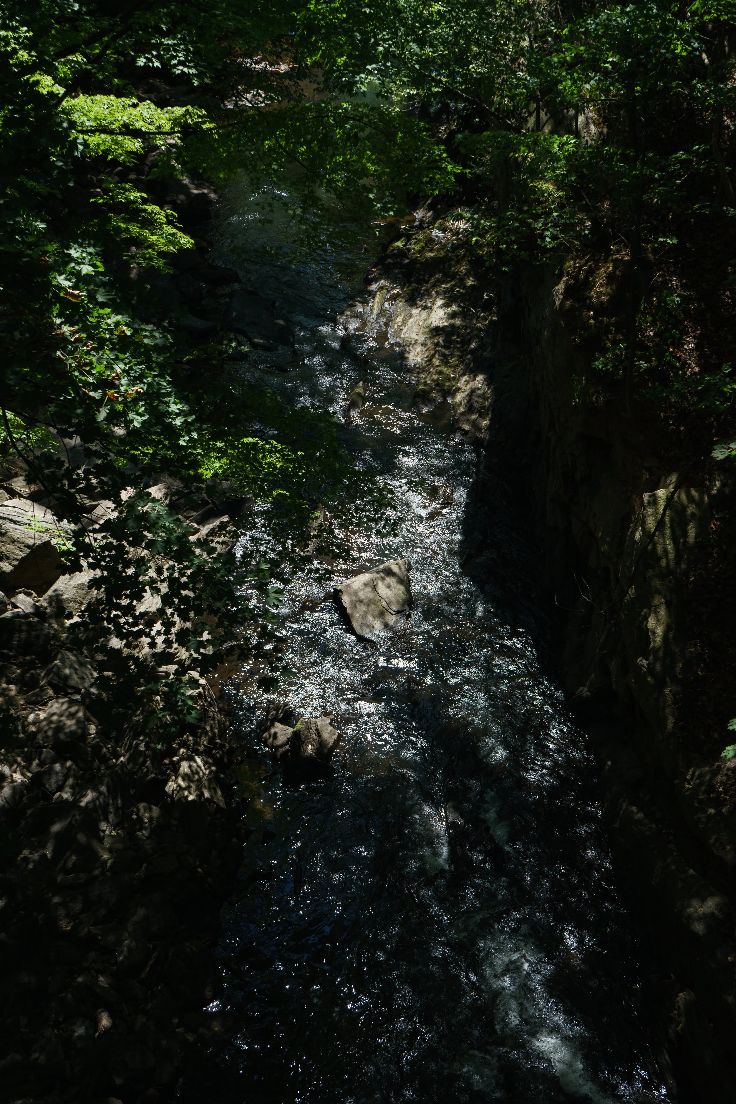 _EAO0218.jpg