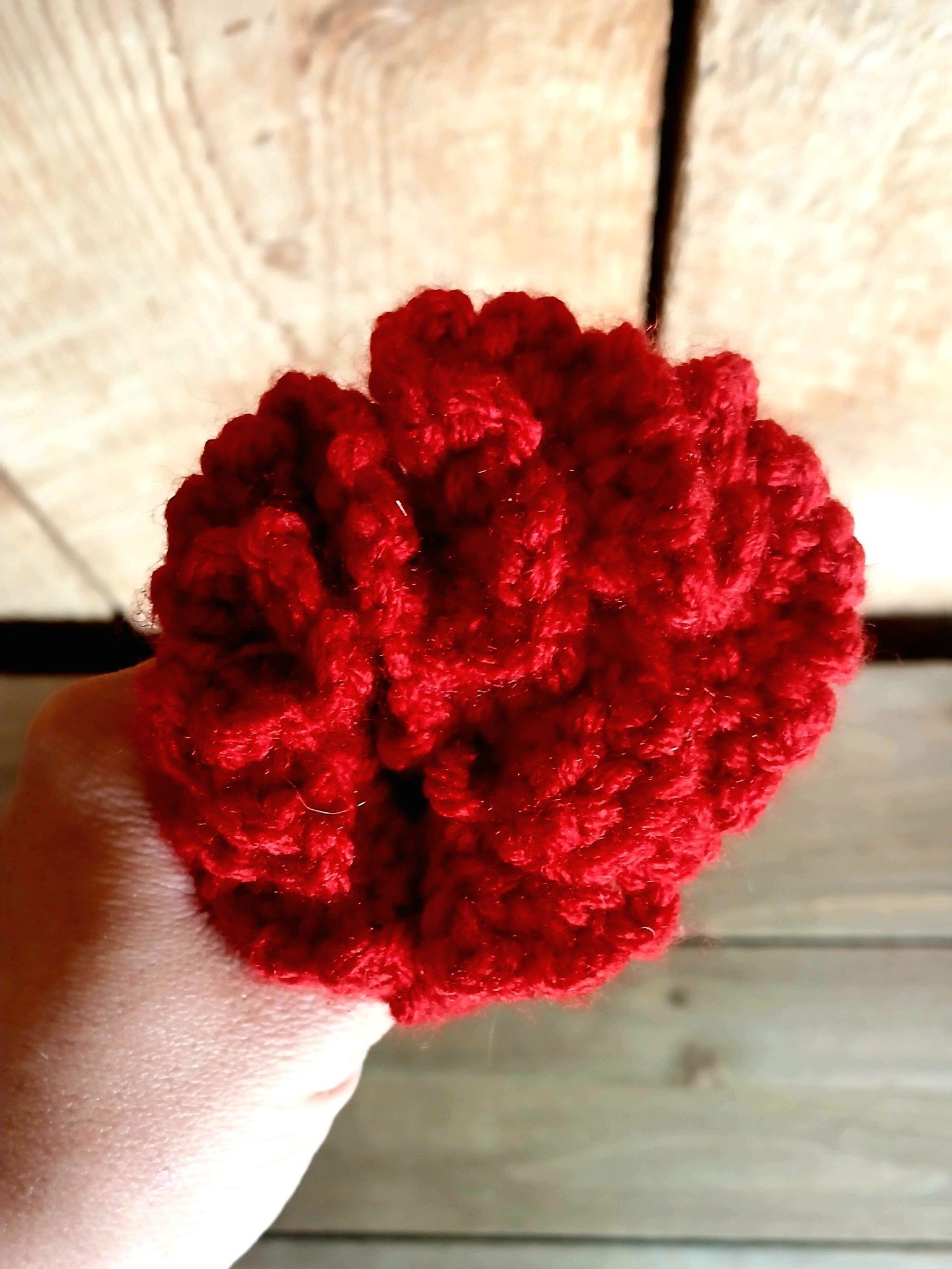 Carnations 4.jpg