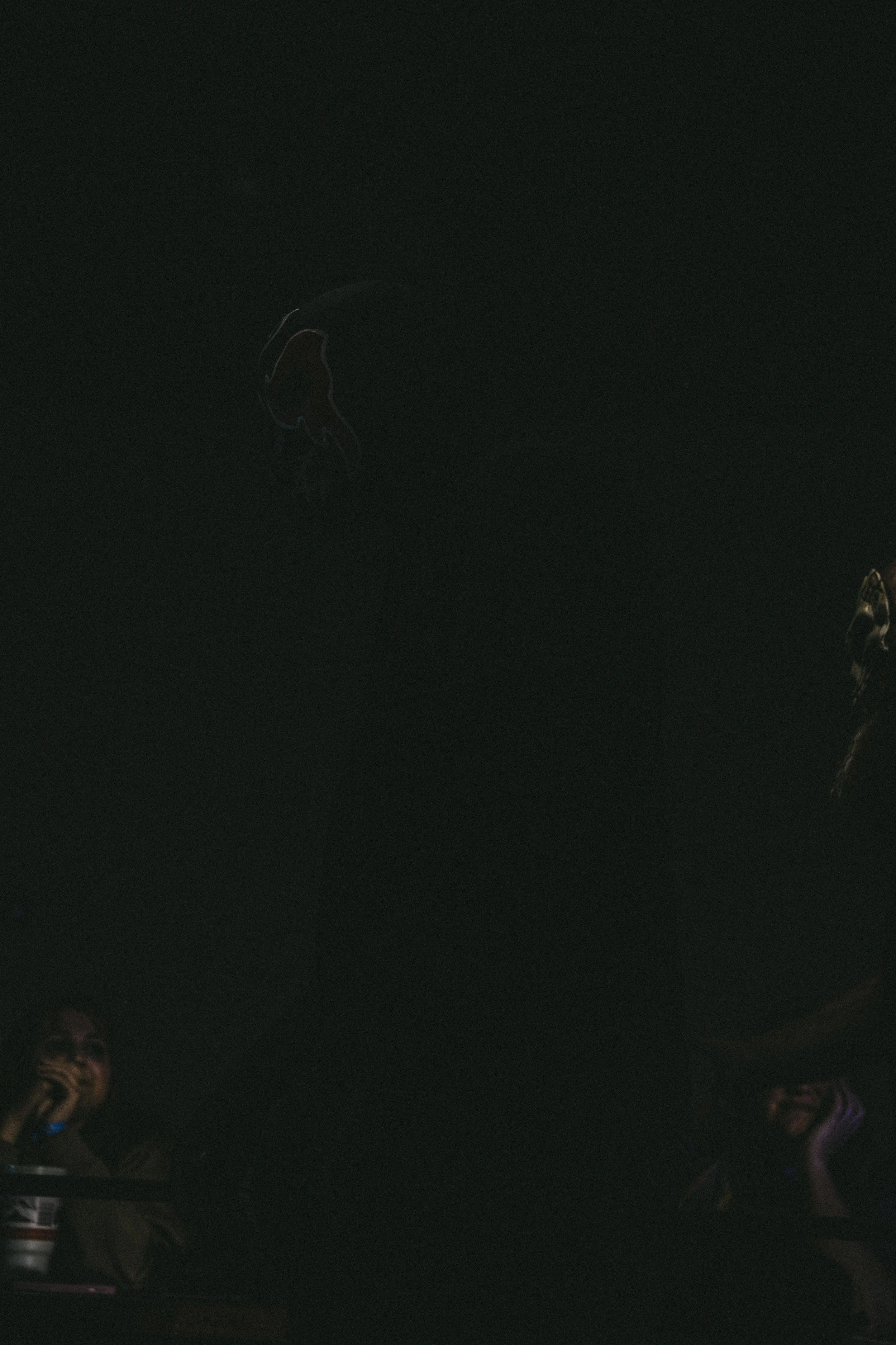 508-DSC08413.jpg