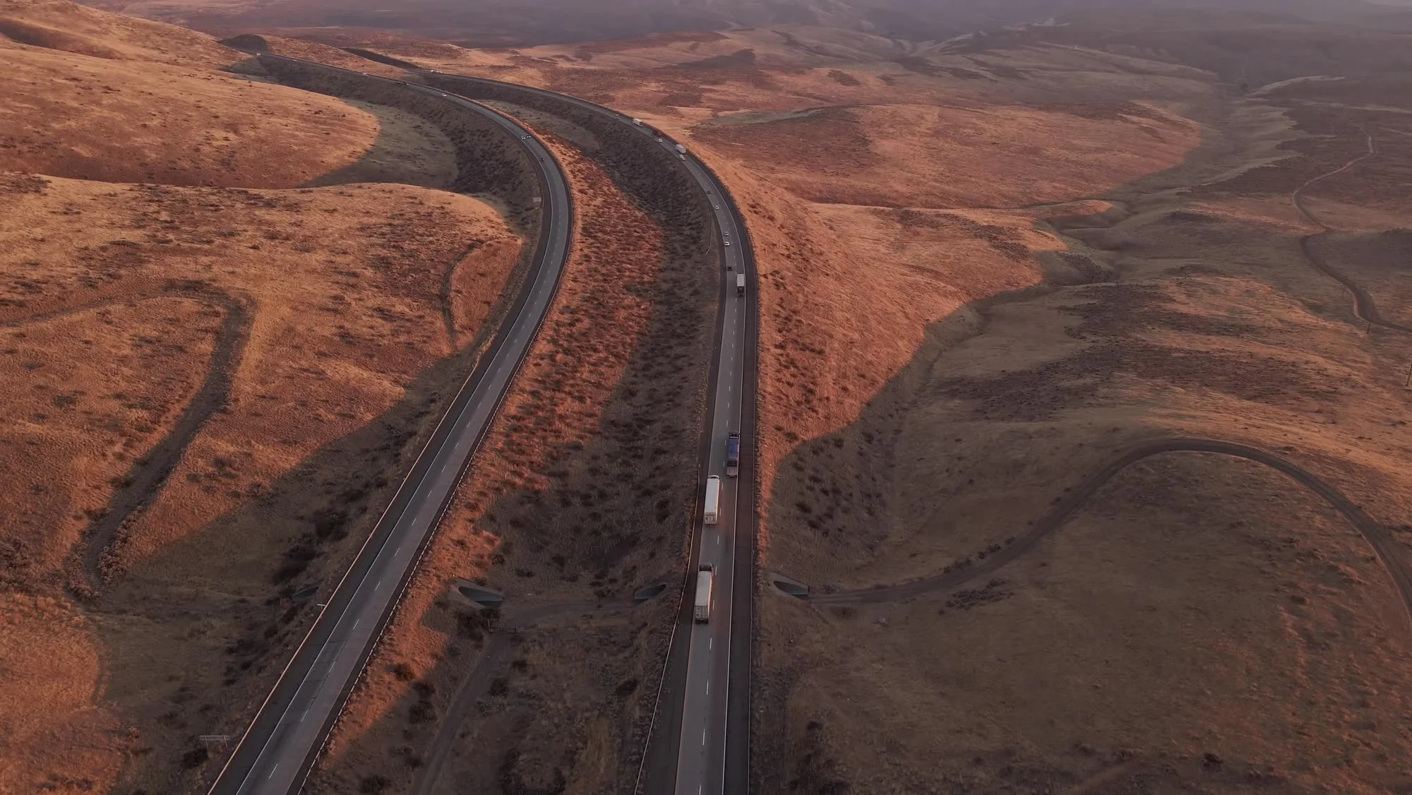 road_golden.jpg