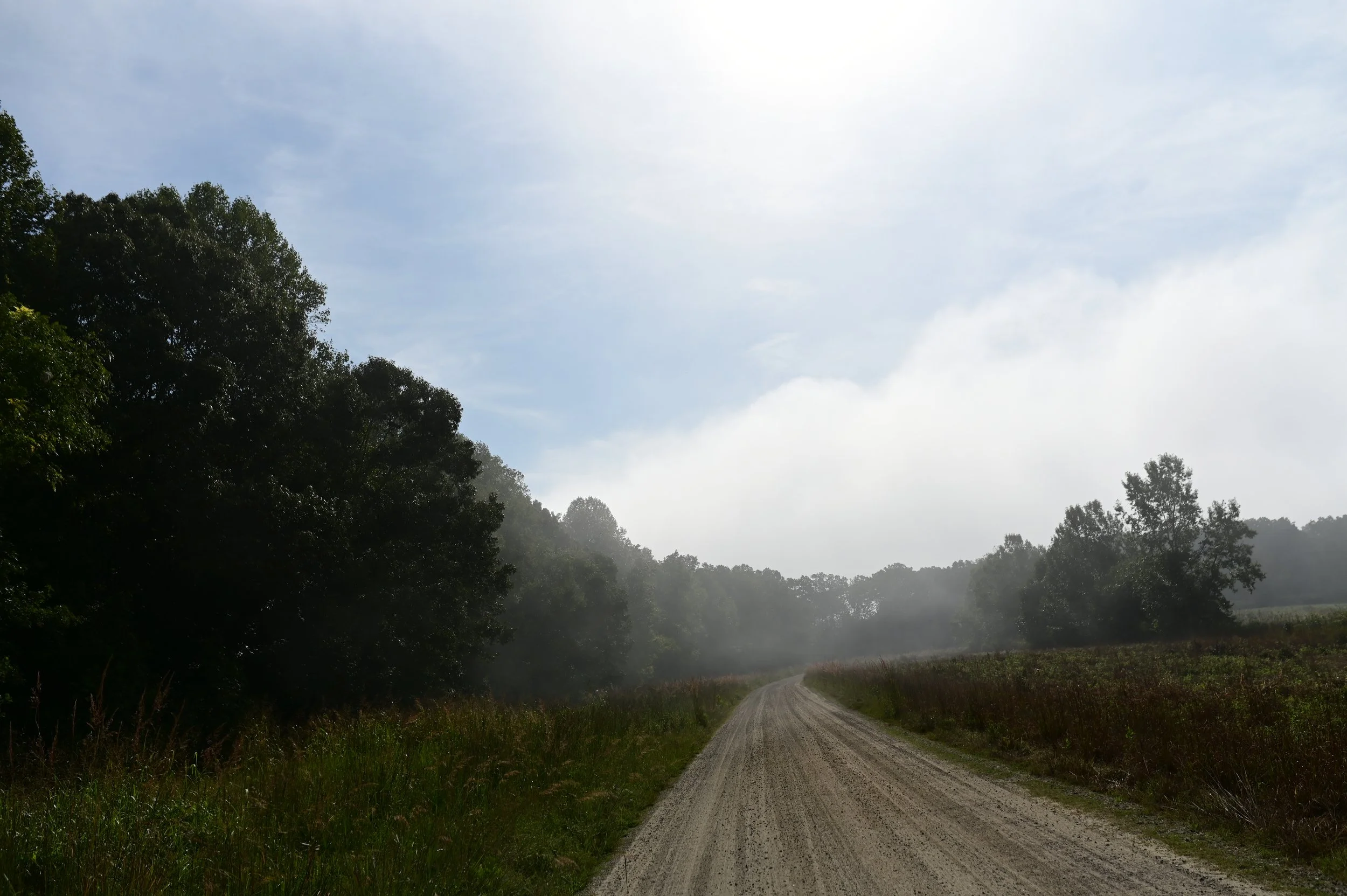 What is a Back Door Roth IRA, and why does it exist?&nbsp;