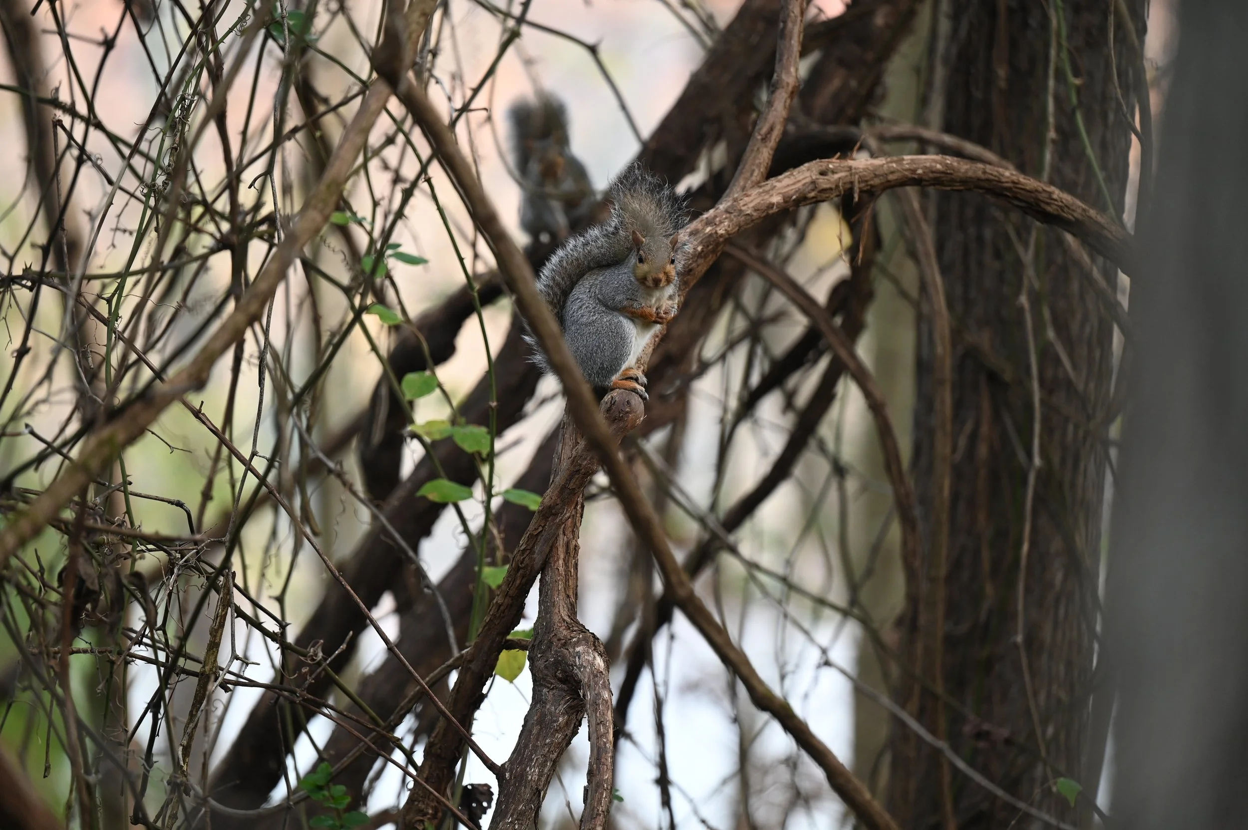 Taxes and Investment Accounts- What You Need to Know