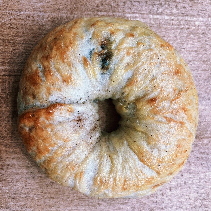 Bagel - Single.jpeg