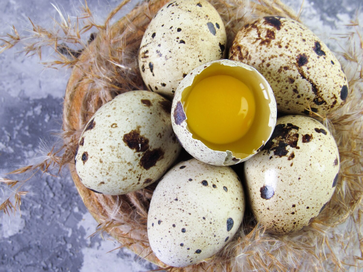 Quail Eggs.jpeg
