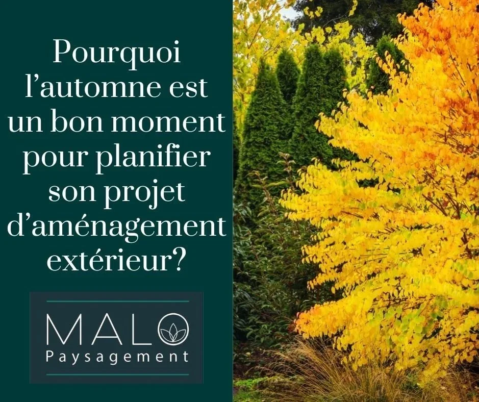 Les avantages de concevoir son plan d’aménagement paysager en automne