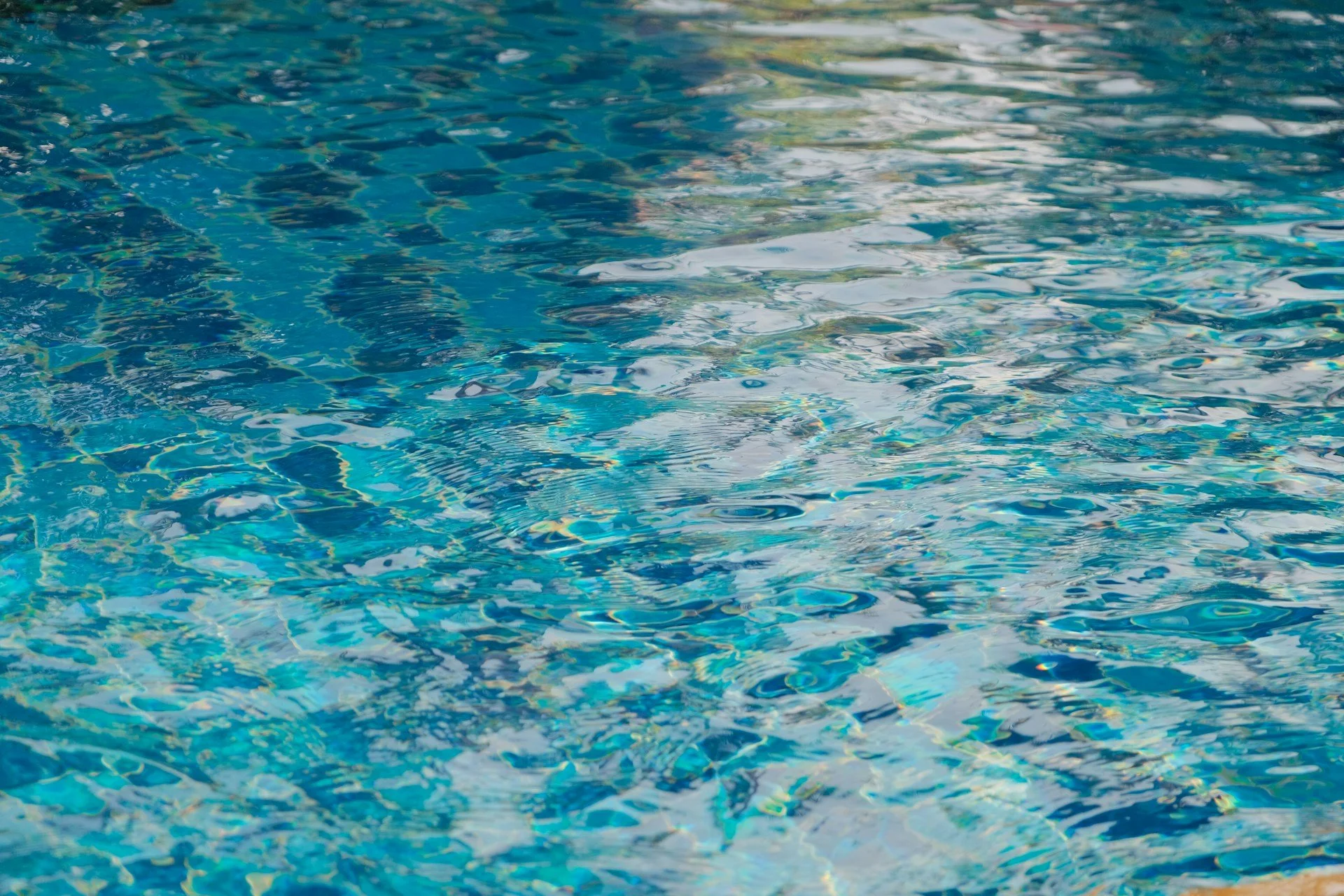 Common Signs You Need Pool Filter Repair in Navasota