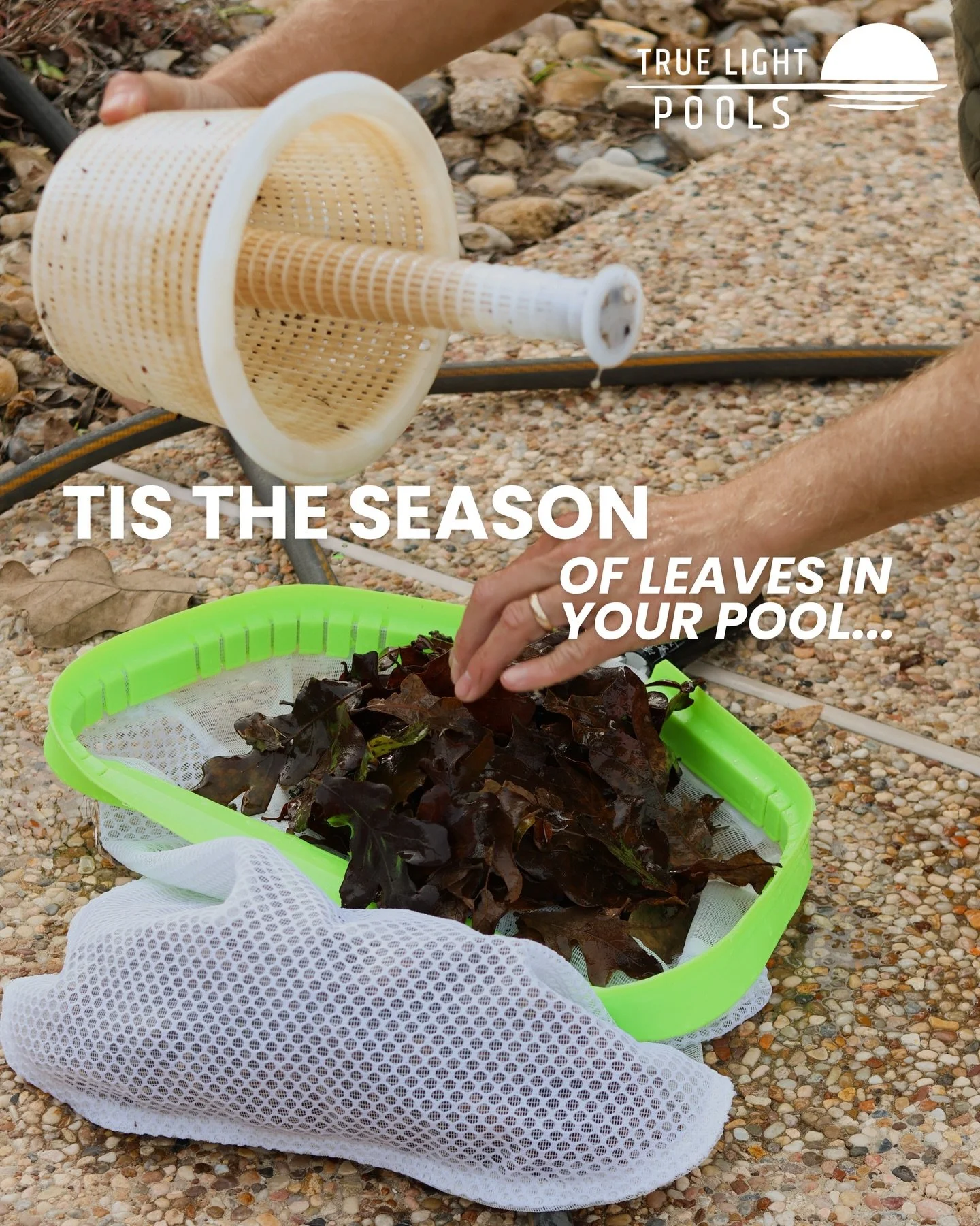 Leaves in your pool aren&rsquo;t just annoying, they can cause buildup, clog filters, and lead to bigger issues over time.
But that doesn&rsquo;t mean it has to be your problem! We would love to help you stay stress-free. Let us handle the pool clean