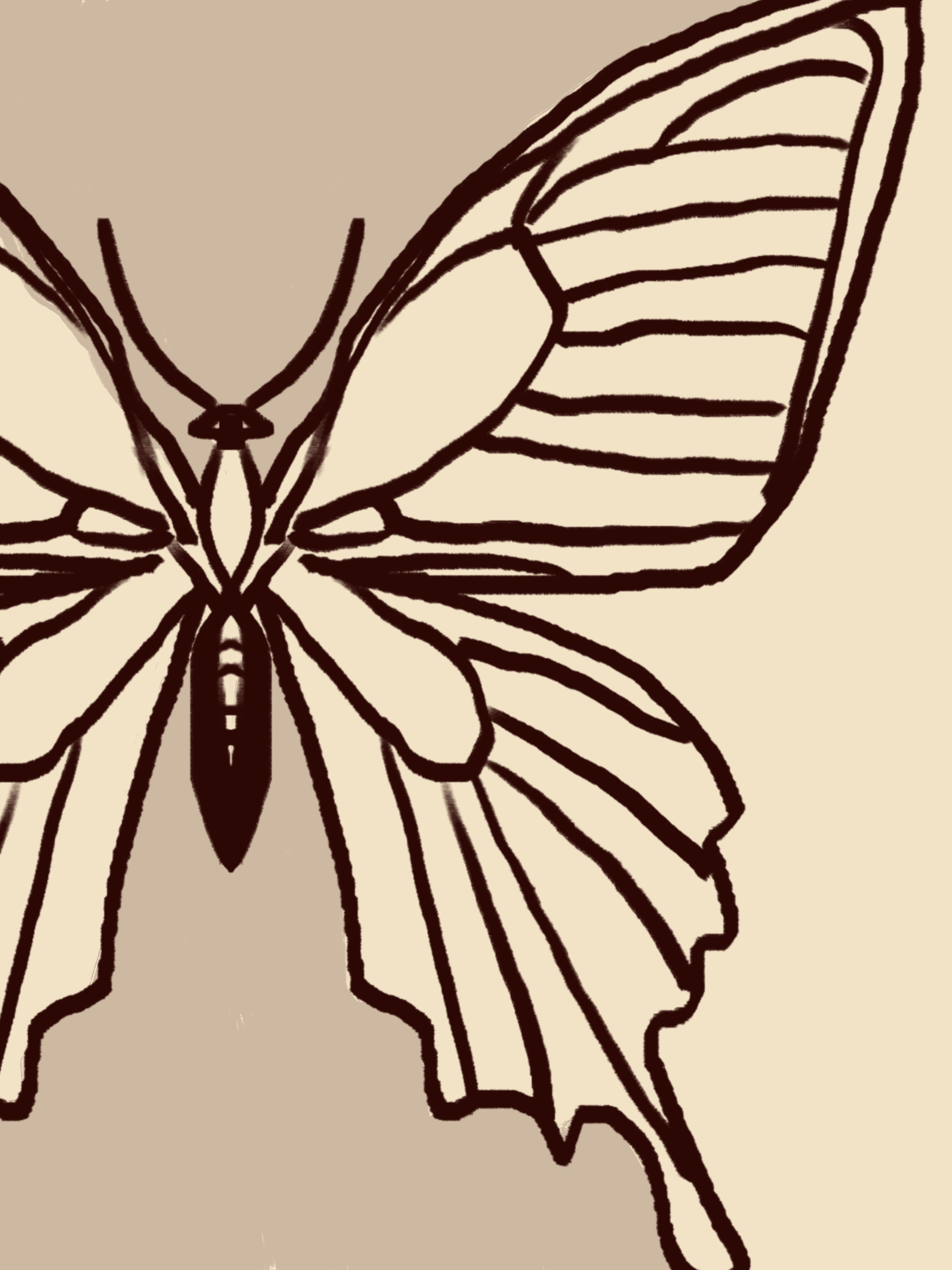 Untitled_Artwork 61.jpg