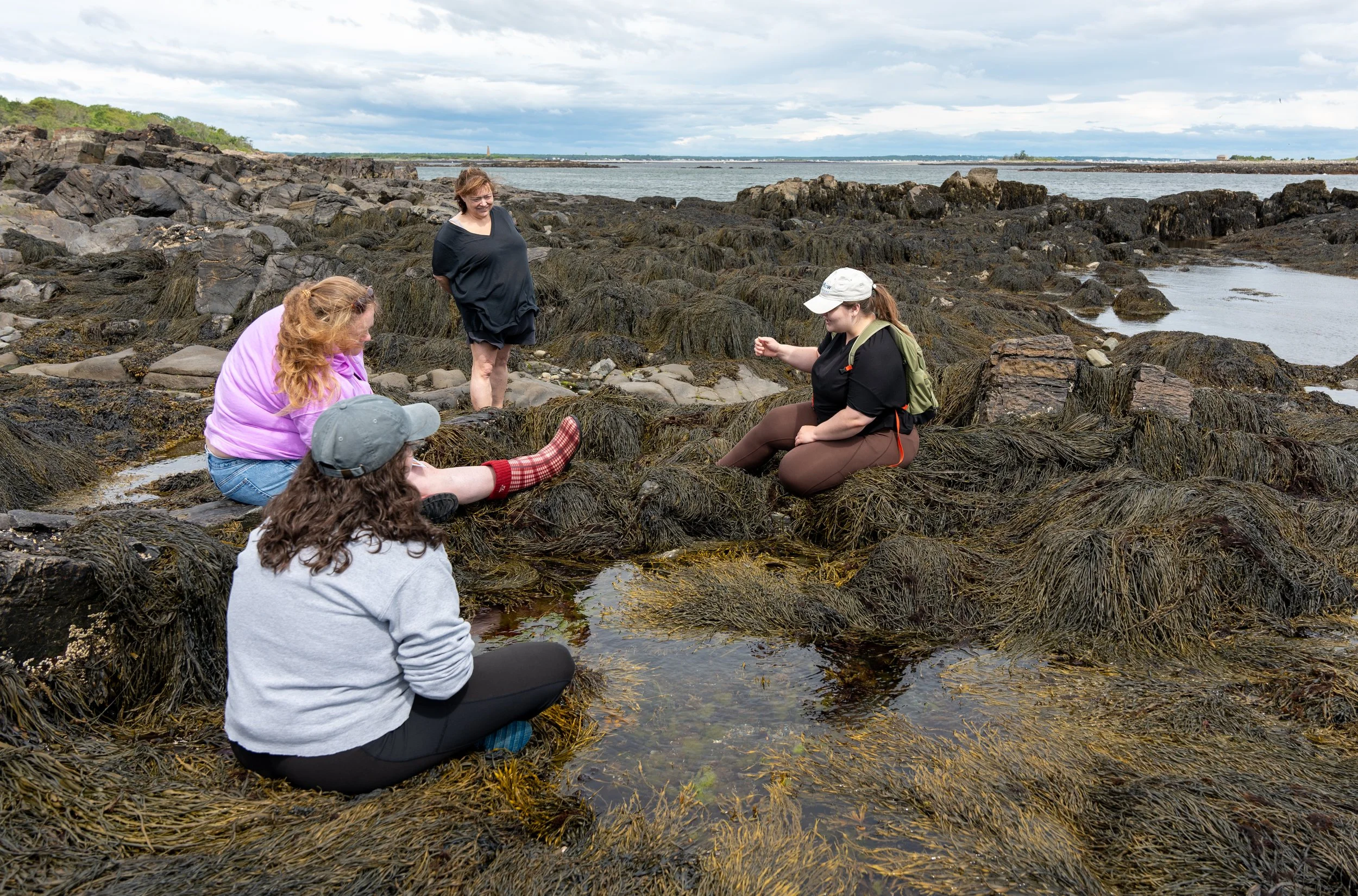 Group of five women on a rocky shoreline with seaweed, exploring tide pools and observing marine life, under an overcast sky.