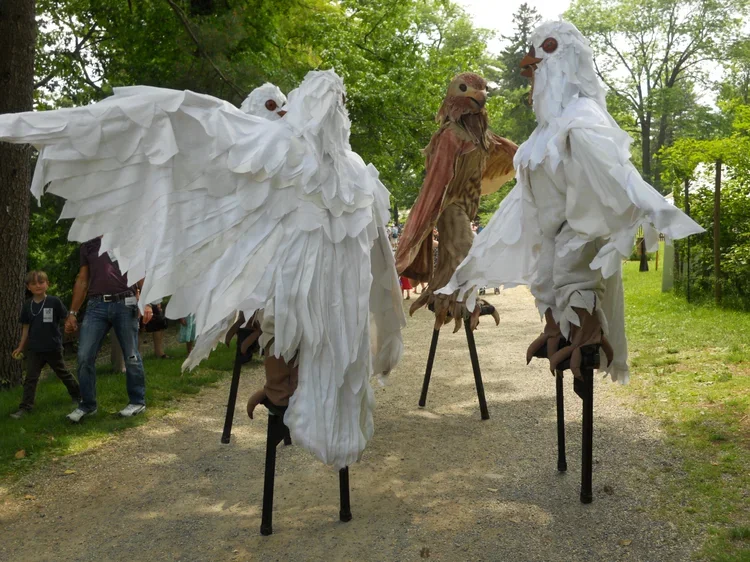For the Birds