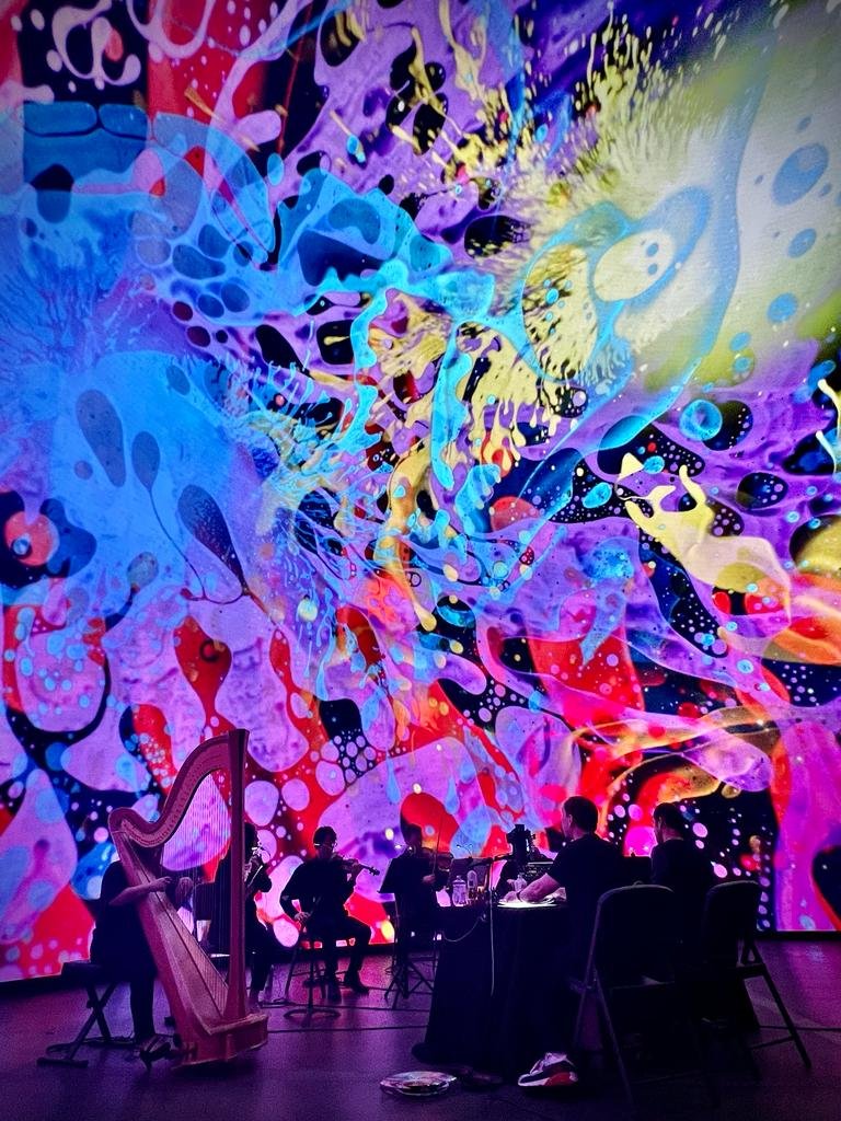 PHOTO-2023-05-04-11-33-16 11.jpg