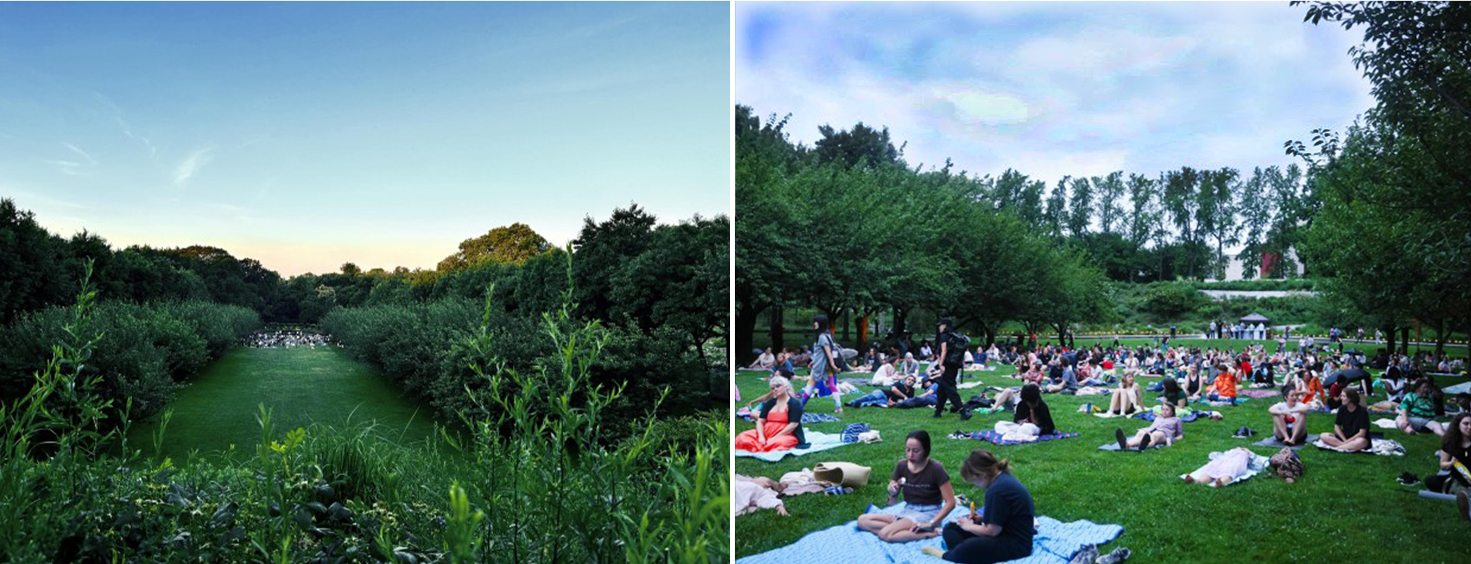 Solstice: Brooklyn Botanic Garden