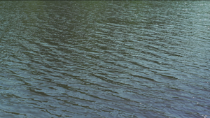 Screen+Shot+2021-06-18+at+12.09.33+PM.webp