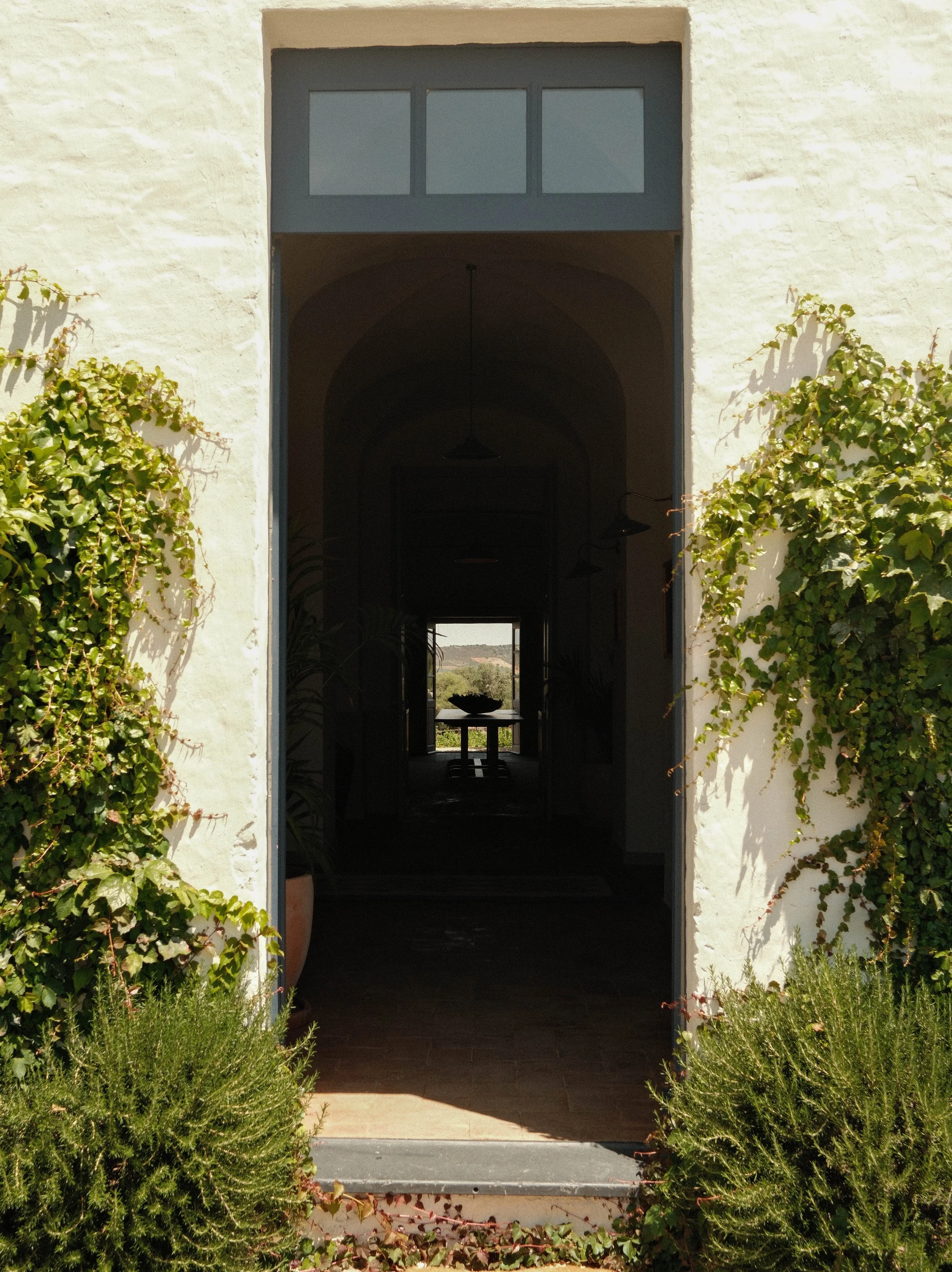 DSCF0583.jpg