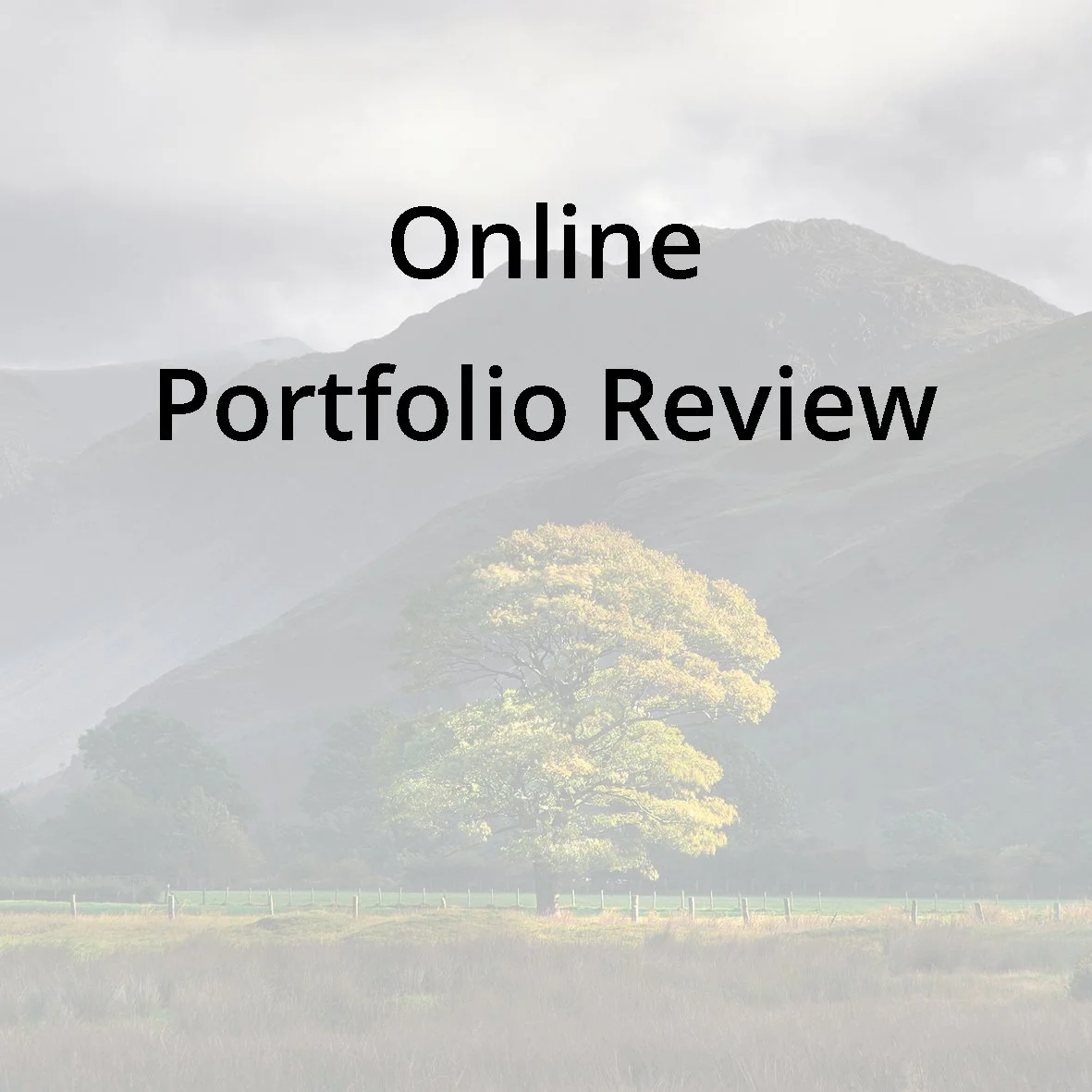 Online Portfolio Review.jpg