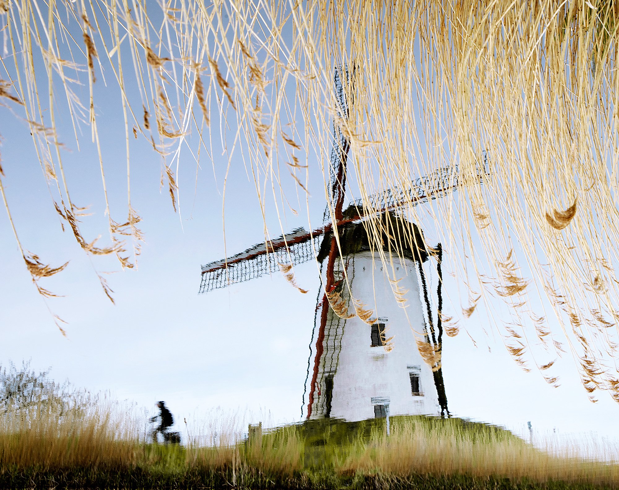 Damme Study III, Belgium, 2014