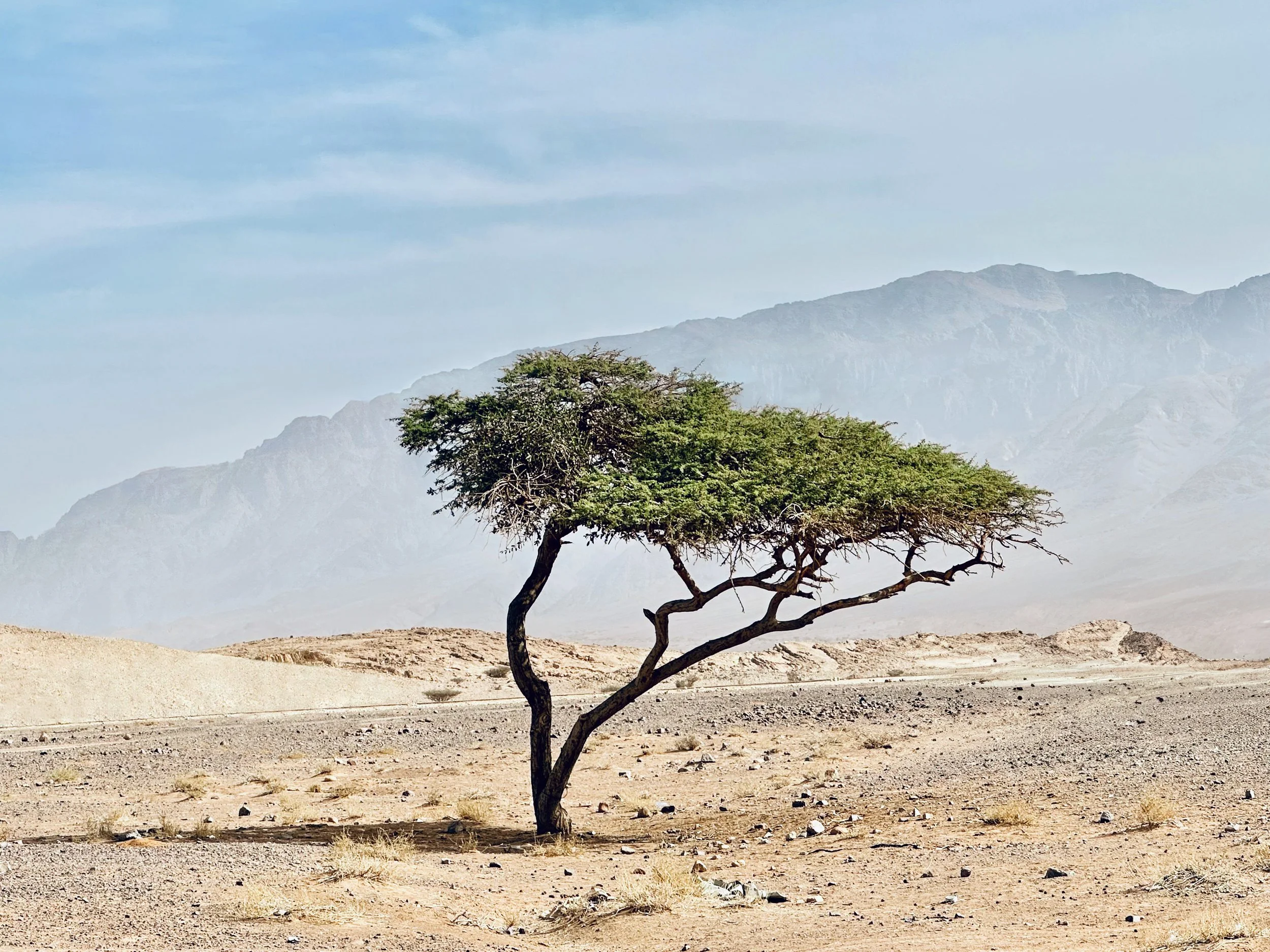 19 Aqaba, Jordan.jpg