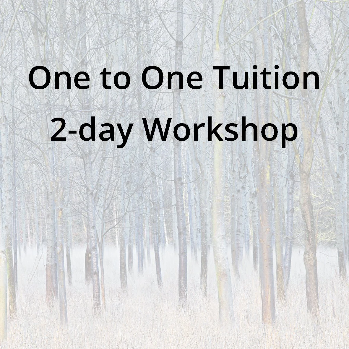 121 2-day workshop.jpg