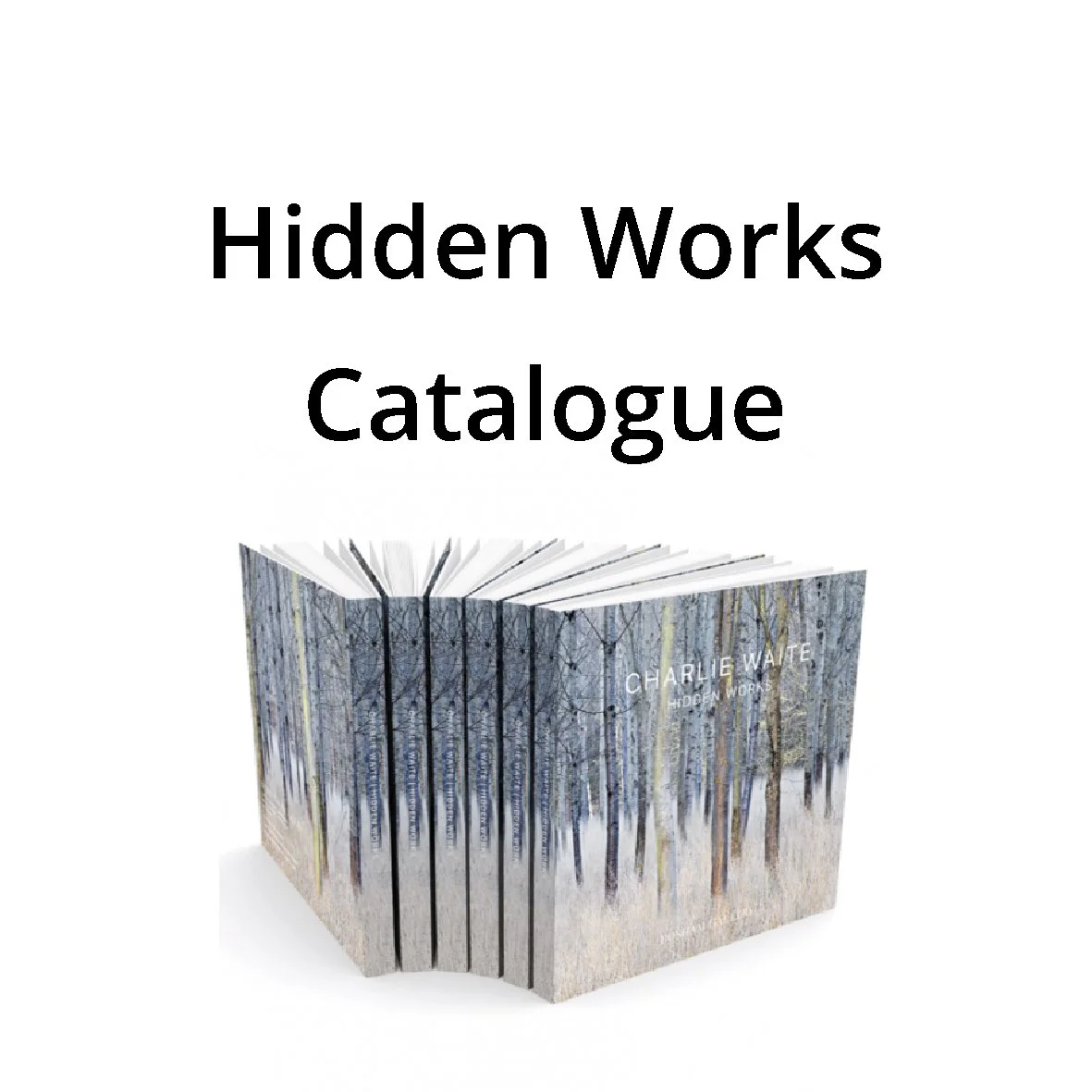 Hidden Works Product.jpg