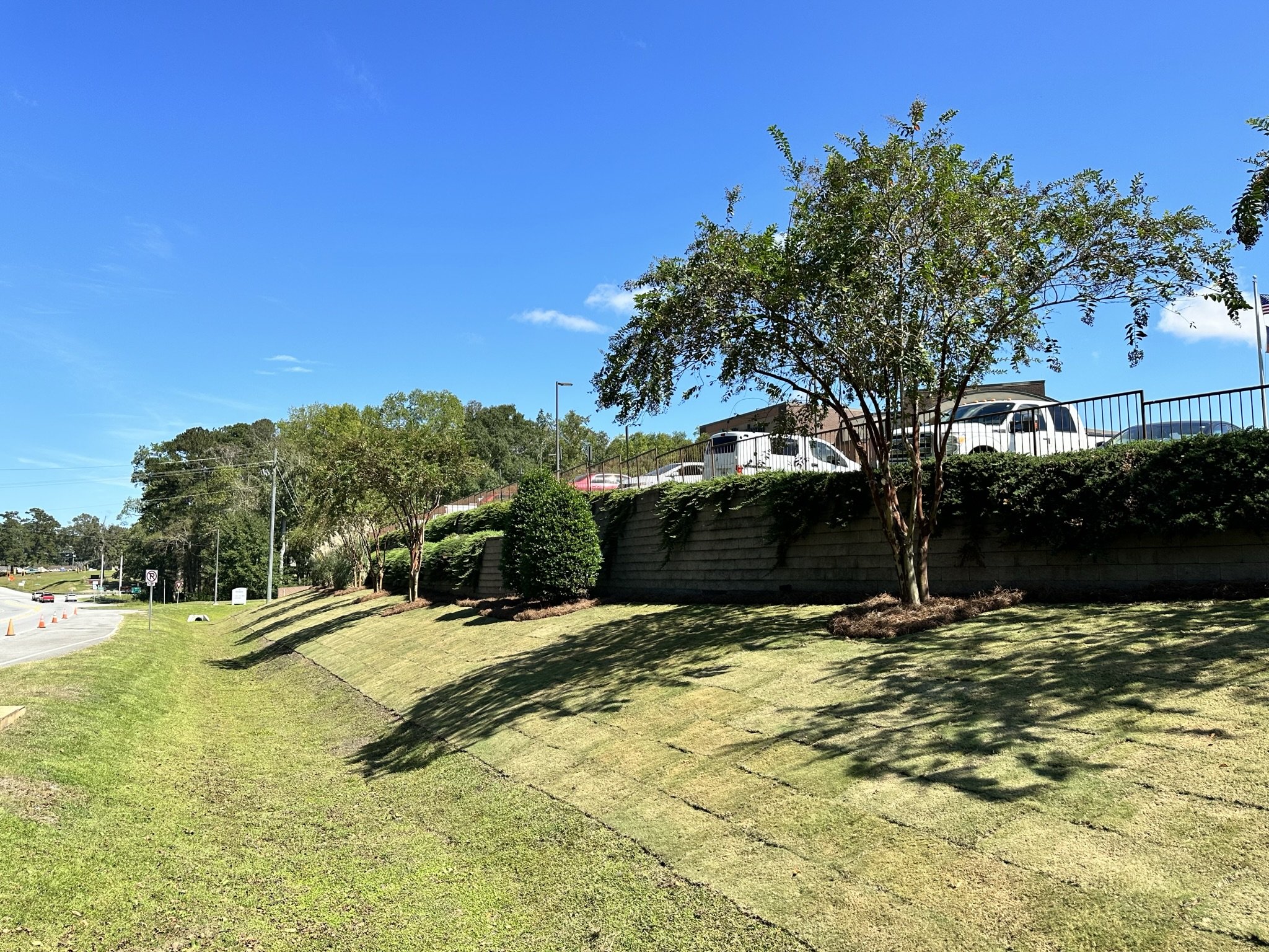Green grass with small trees and shrubs in front of a retaining wall topped with a fence, vehicles parked on a lot above, under a blue sky with few clouds.