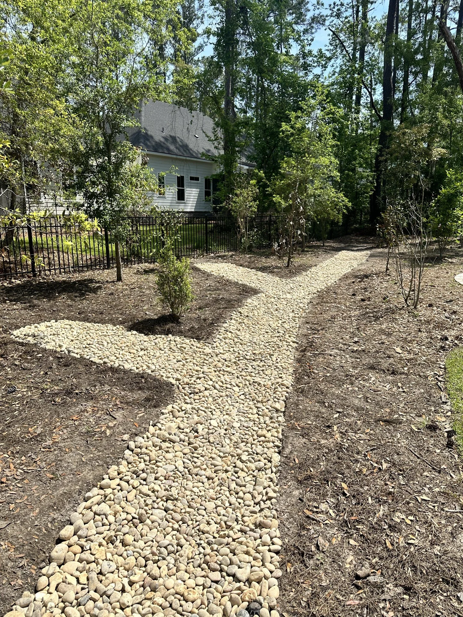 A gravel pathway in a backyard, surrounded by small trees and bushes, with a house and trees in the background.