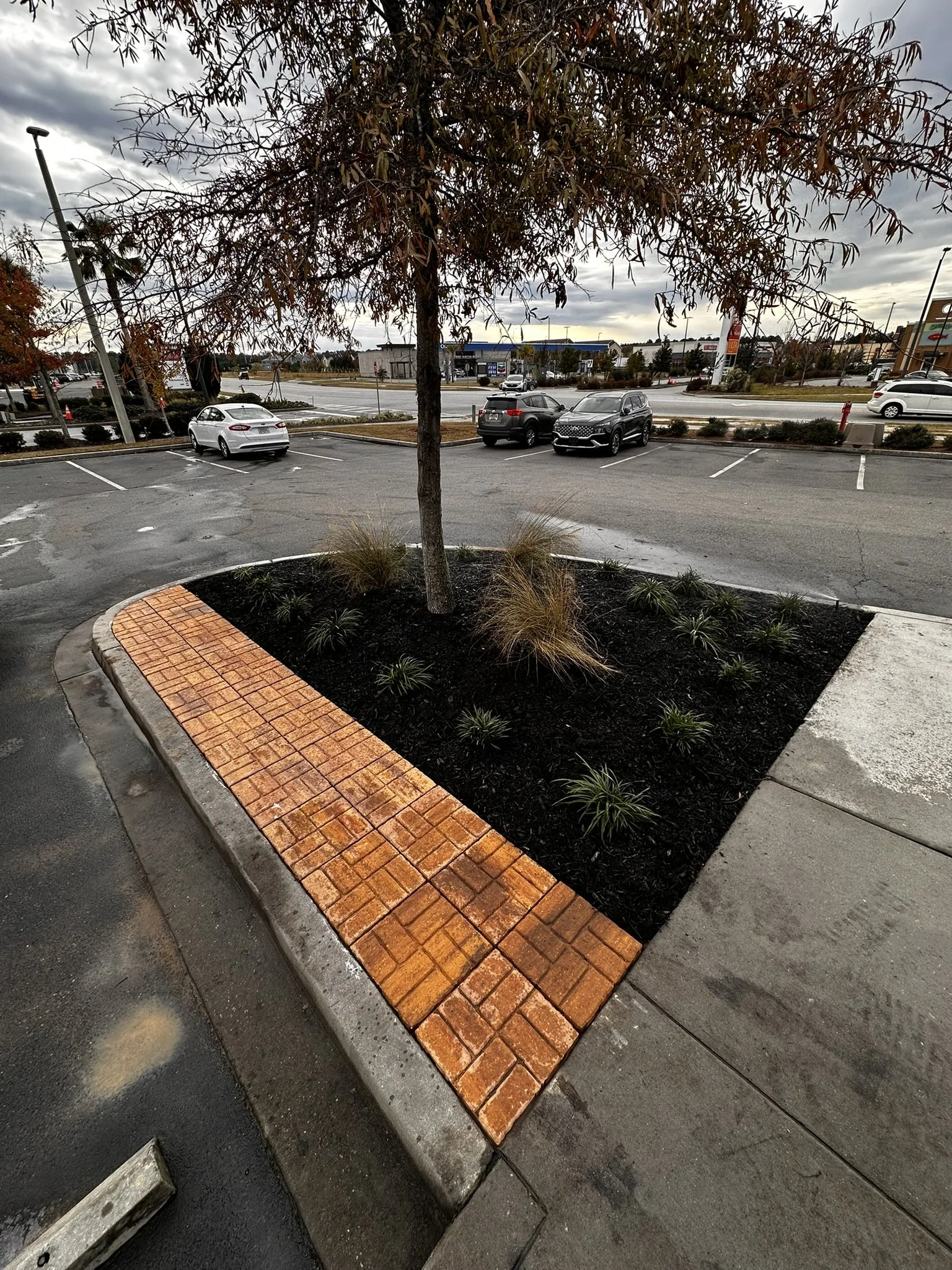A landscaped parking lot island with a small tree, ornamental grass, and small plants surrounded by dark mulched soil, with a brick border and adjacent concrete sidewalk and parking spaces, against a background of a busy street and cloudy sky.