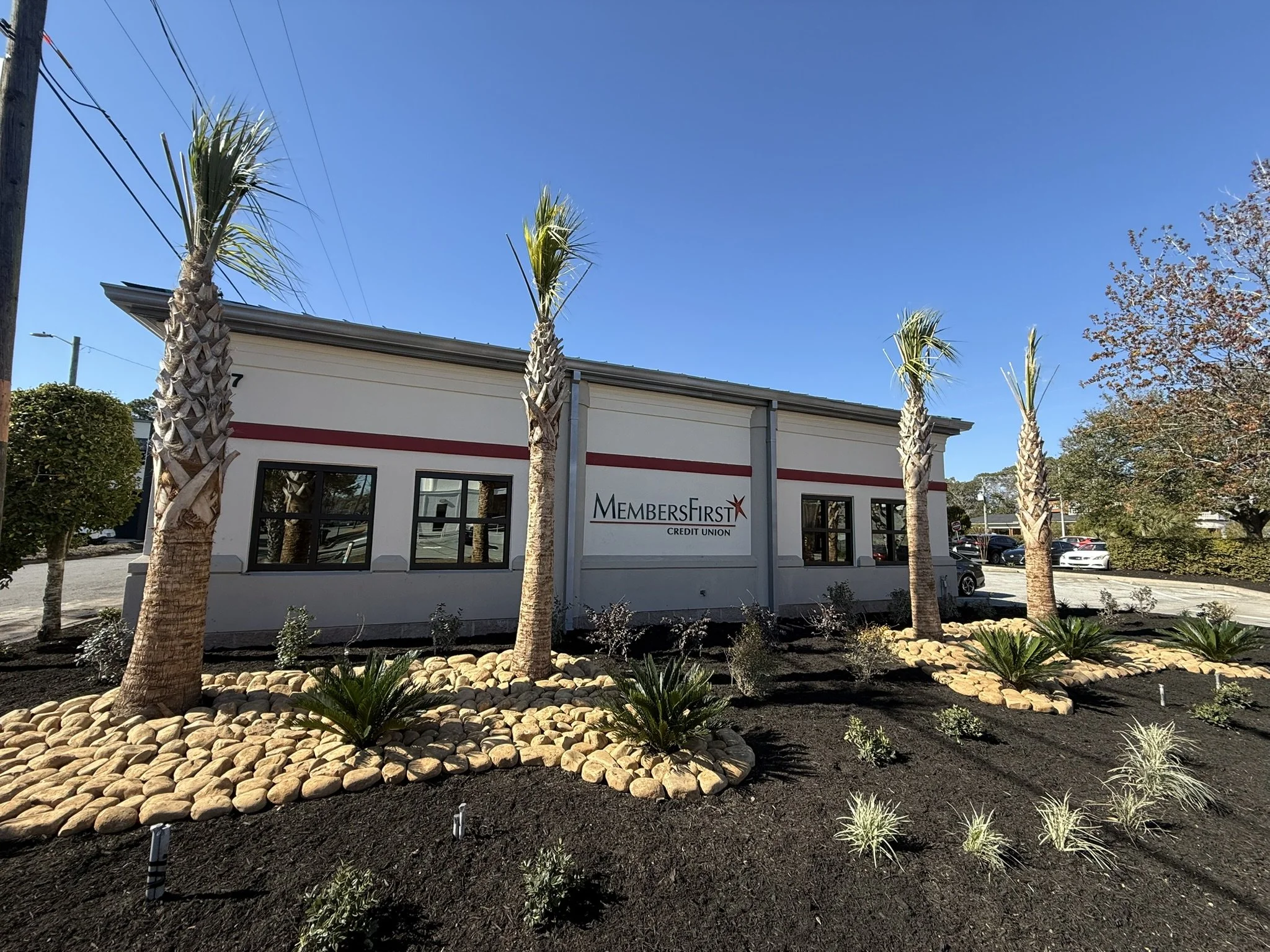 Exterior view of a MembersFirst Credit Union branch with five palm trees, landscaped with small plants and rocks, under a clear blue sky.