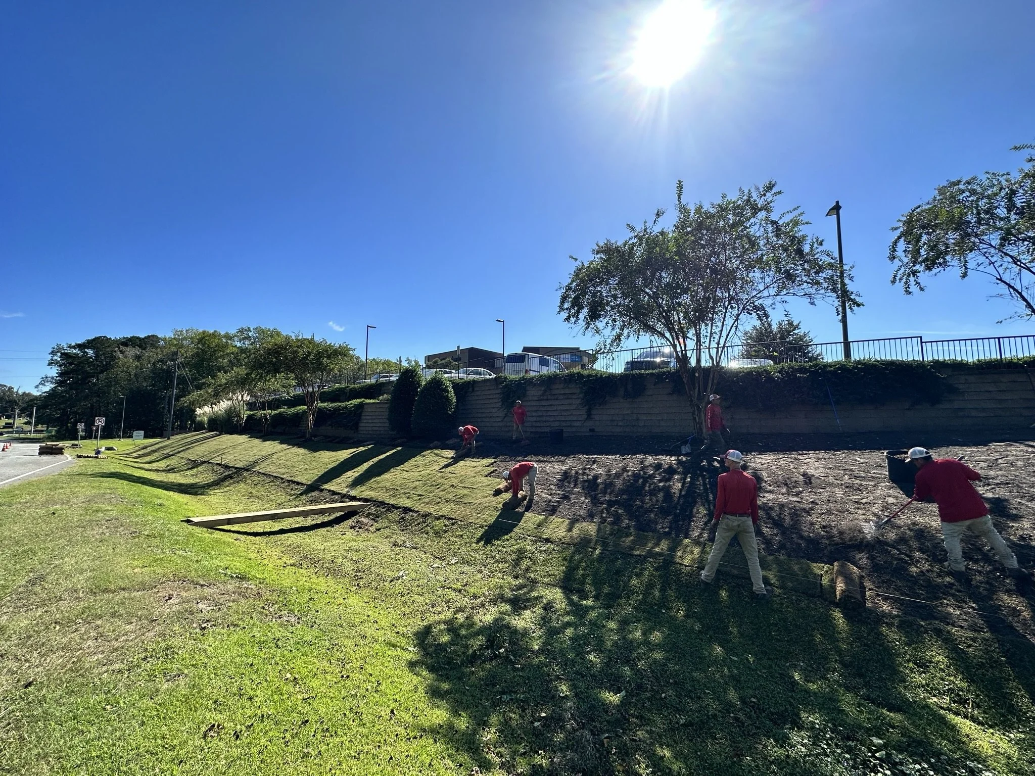Workers planting and landscaping a slope next to a sidewalk under a bright sun in clear weather.