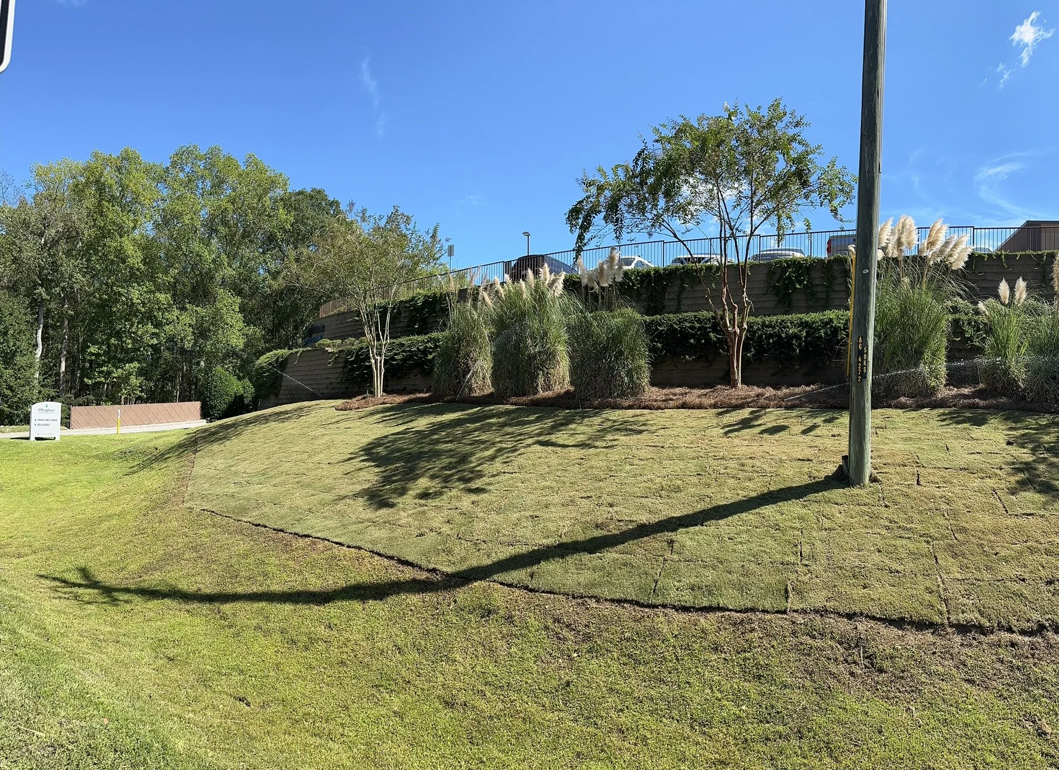 A landscaped grassy area with a retaining wall featuring shrubs and small trees, a utility pole casting a shadow, and a clear blue sky.