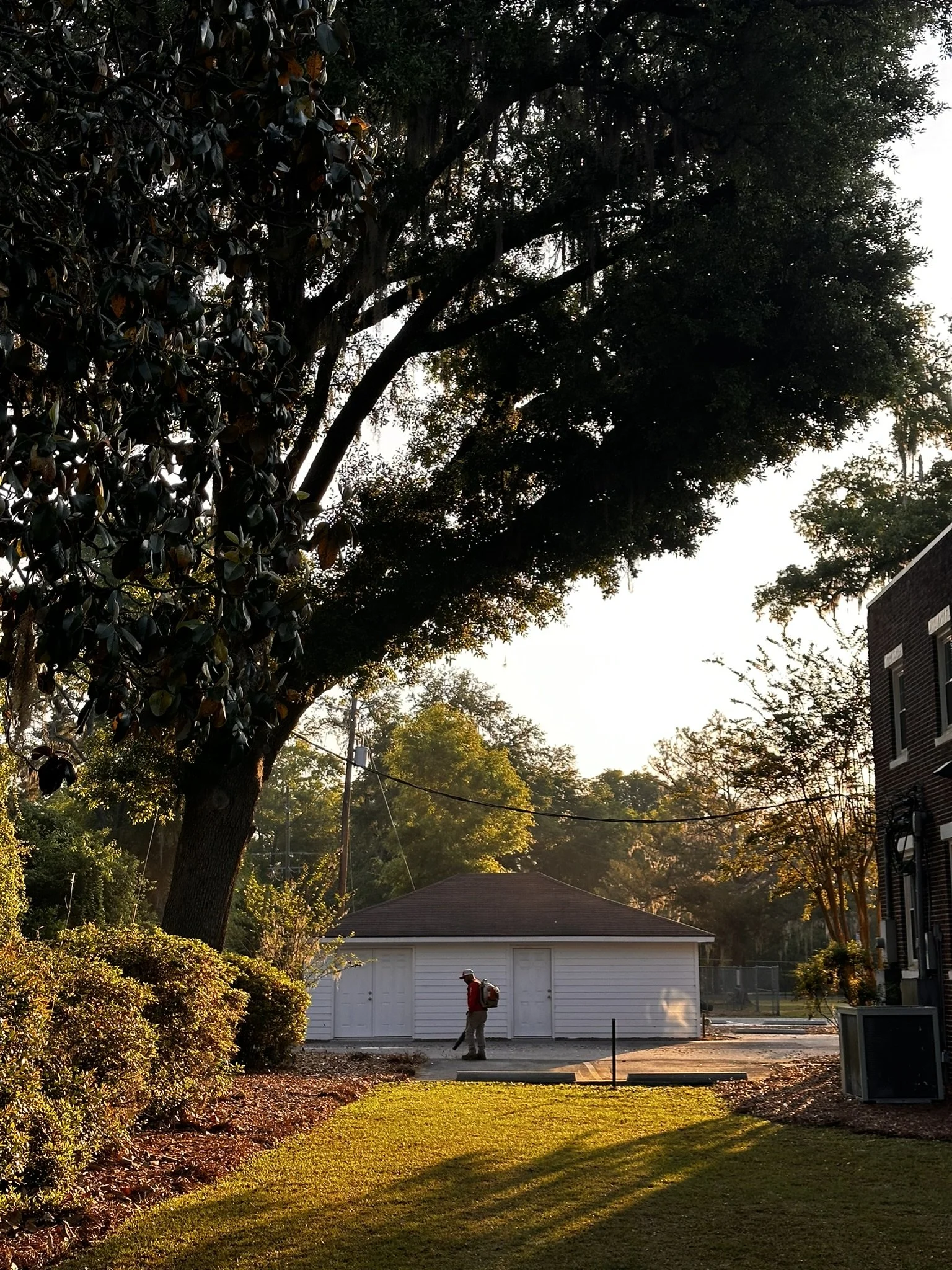 A person walking on a sidewalk beside a white shed and a brick building, with large trees and greenery in the background, during the late afternoon or early evening.