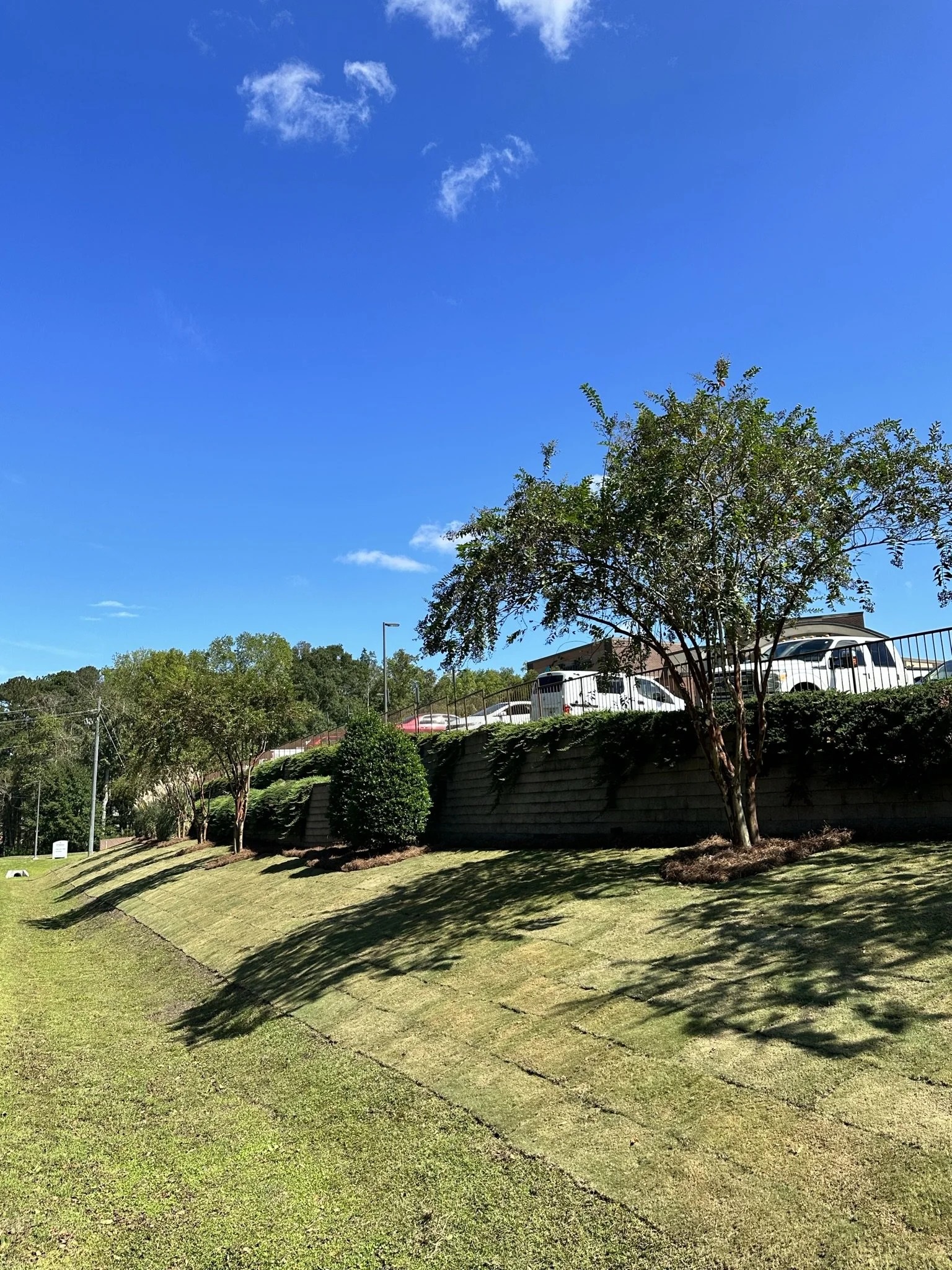 A sunny day with a clear blue sky and a few white clouds. There are several trees and bushes planted on a grassy slope, near a retaining wall. The top of the slope has a parking area with cars and a fence.