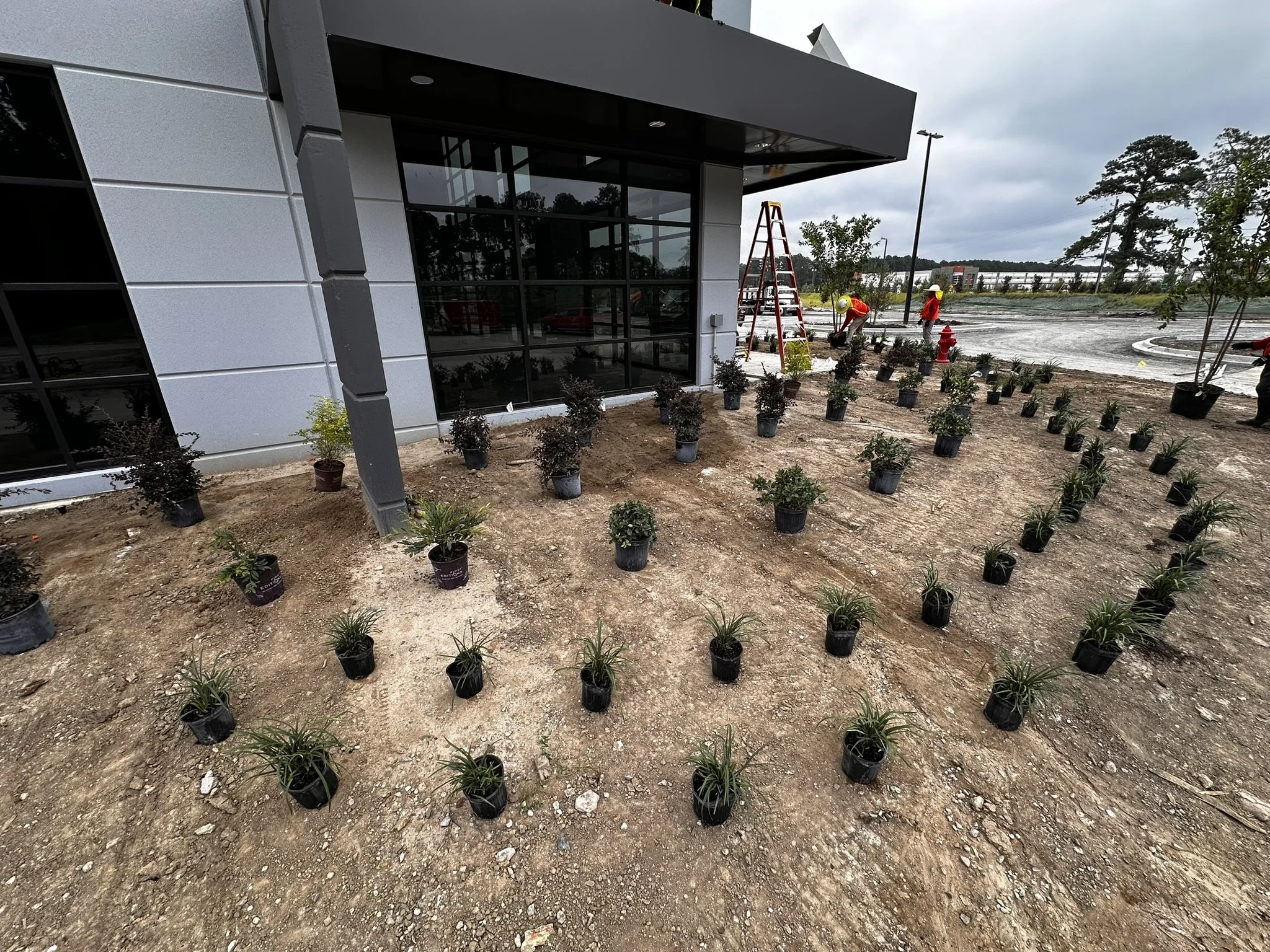 Workers planting small bushes and plants outside a commercial building under construction.