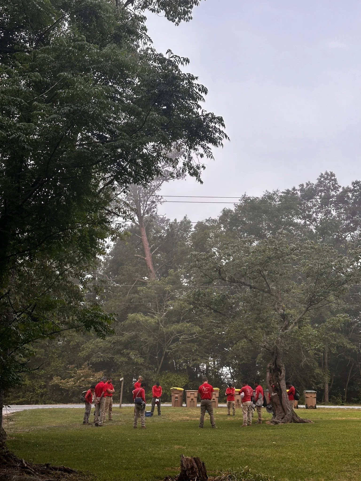 Group of people standing outdoors on grassy area, wearing red shirts, near large trees and trash bins, under cloudy sky.