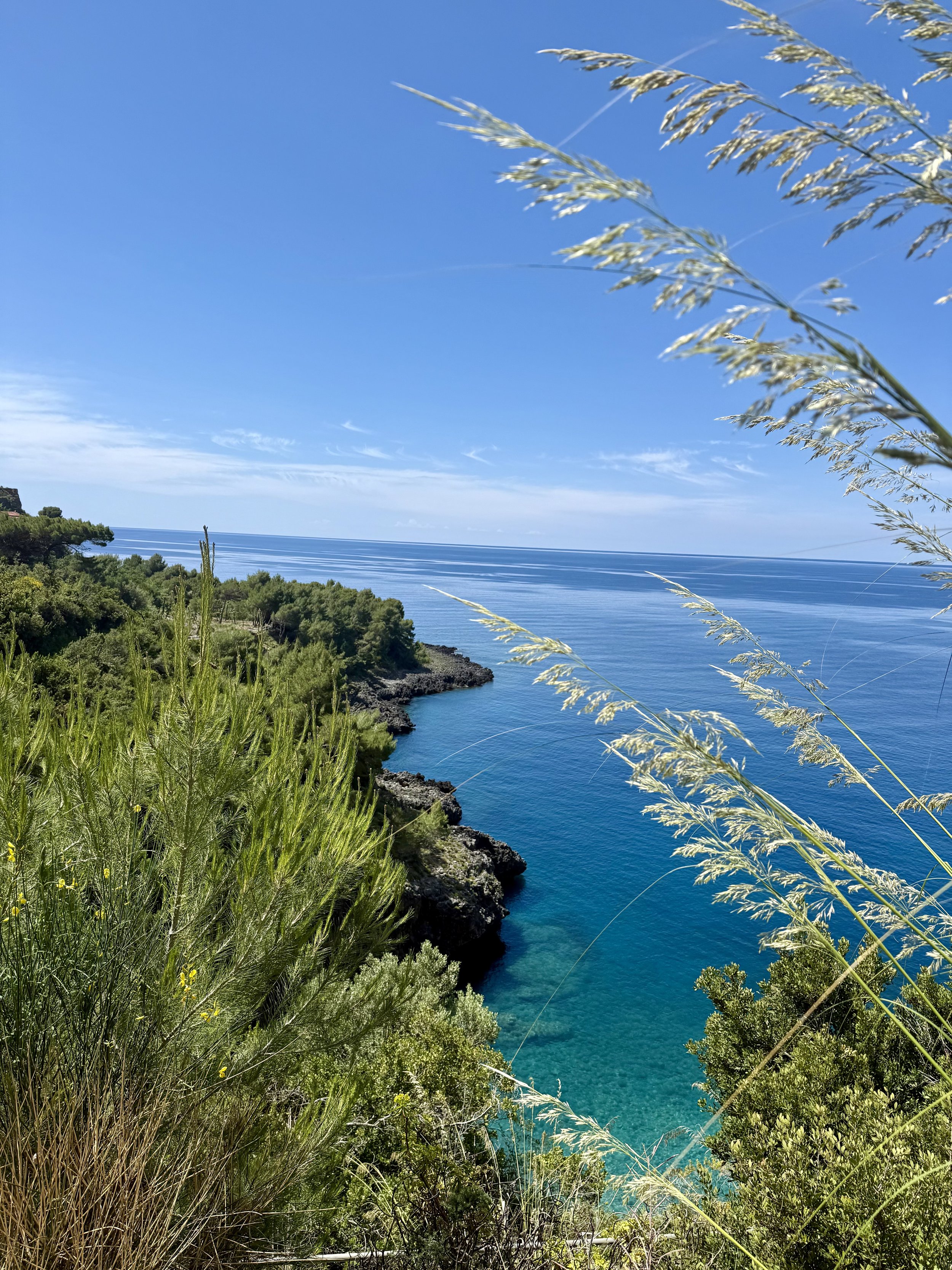 Scenic view of a rocky coastline with lush green vegetation, clear turquoise water, and a blue sky with some clouds.