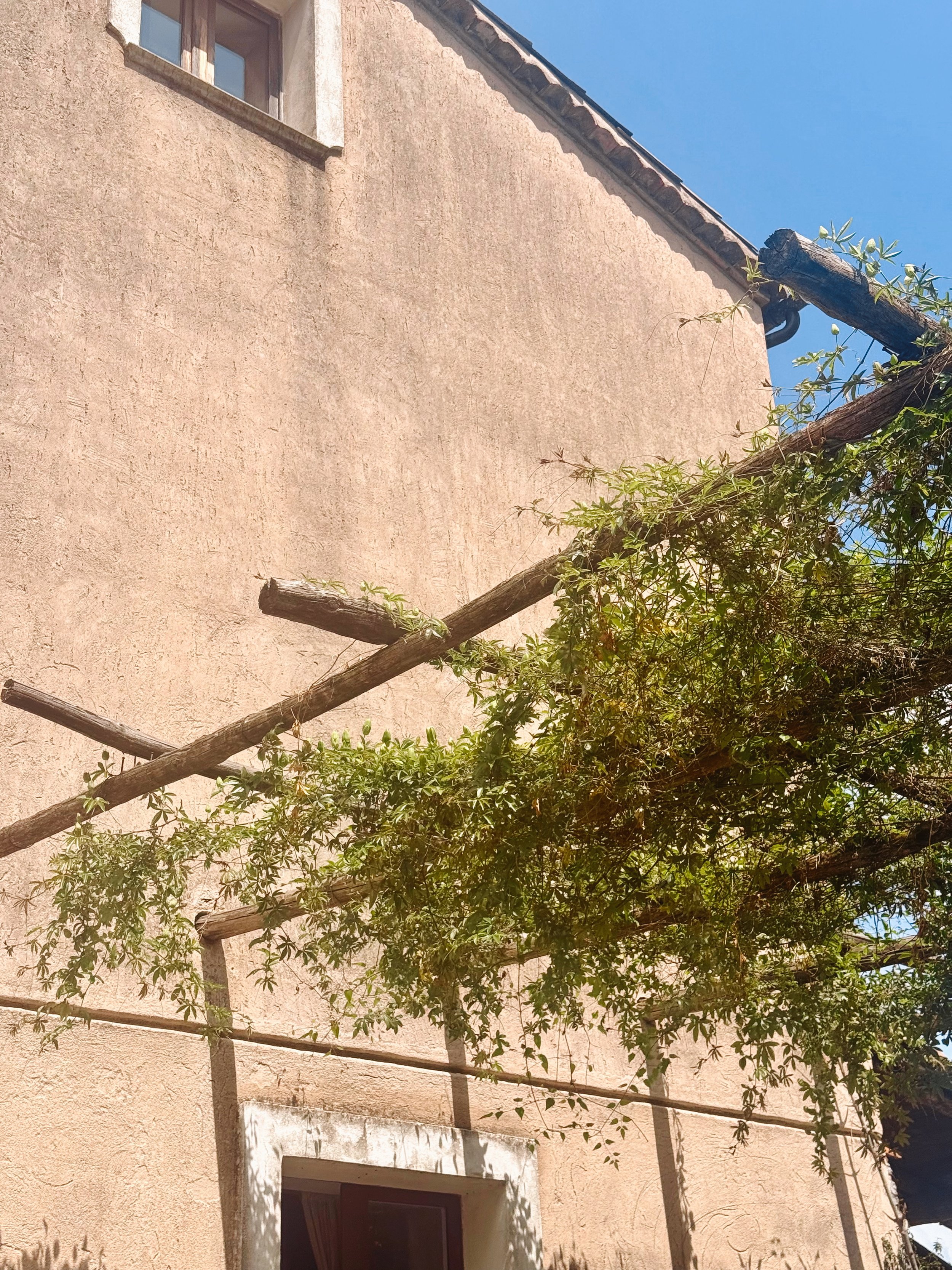 An exterior view of a beige stucco building with a window near the bottom and a tree with green leaves and branches leaning against the wall, casting shadows. The roof is visible with a slight overhang and a downspout.