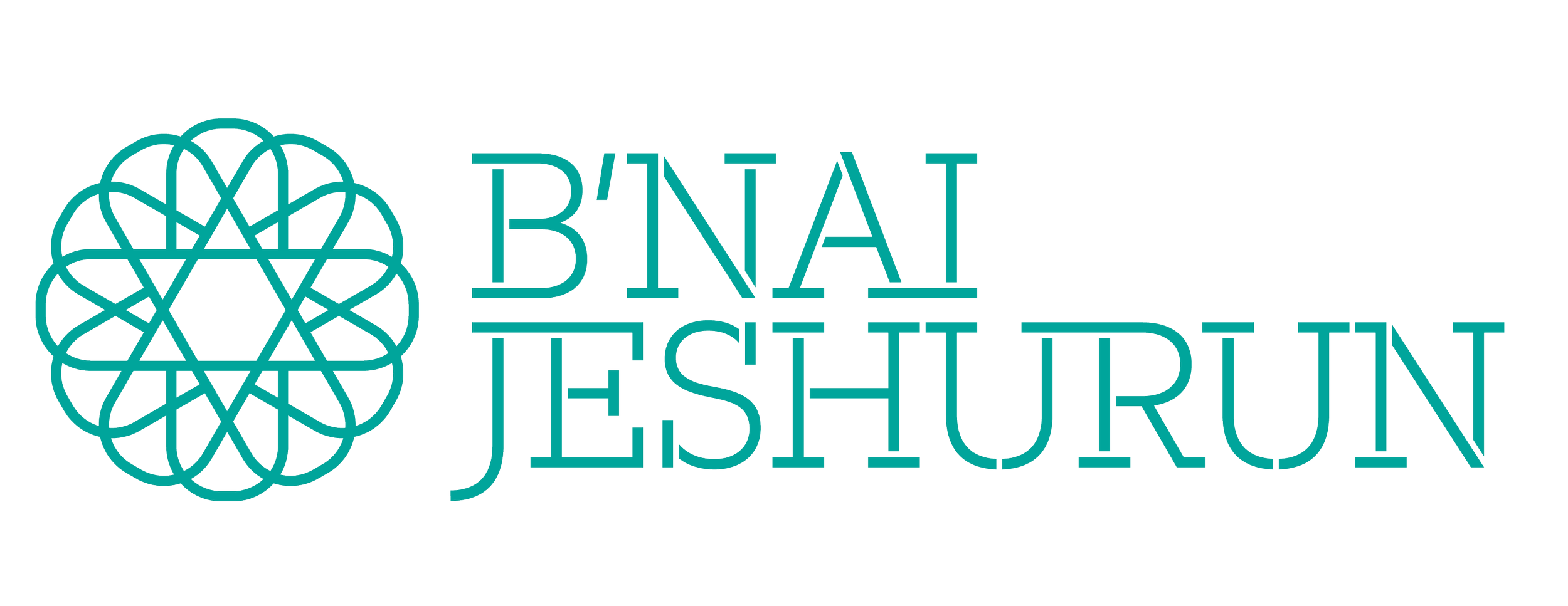 Bnai Jeshurun Logo