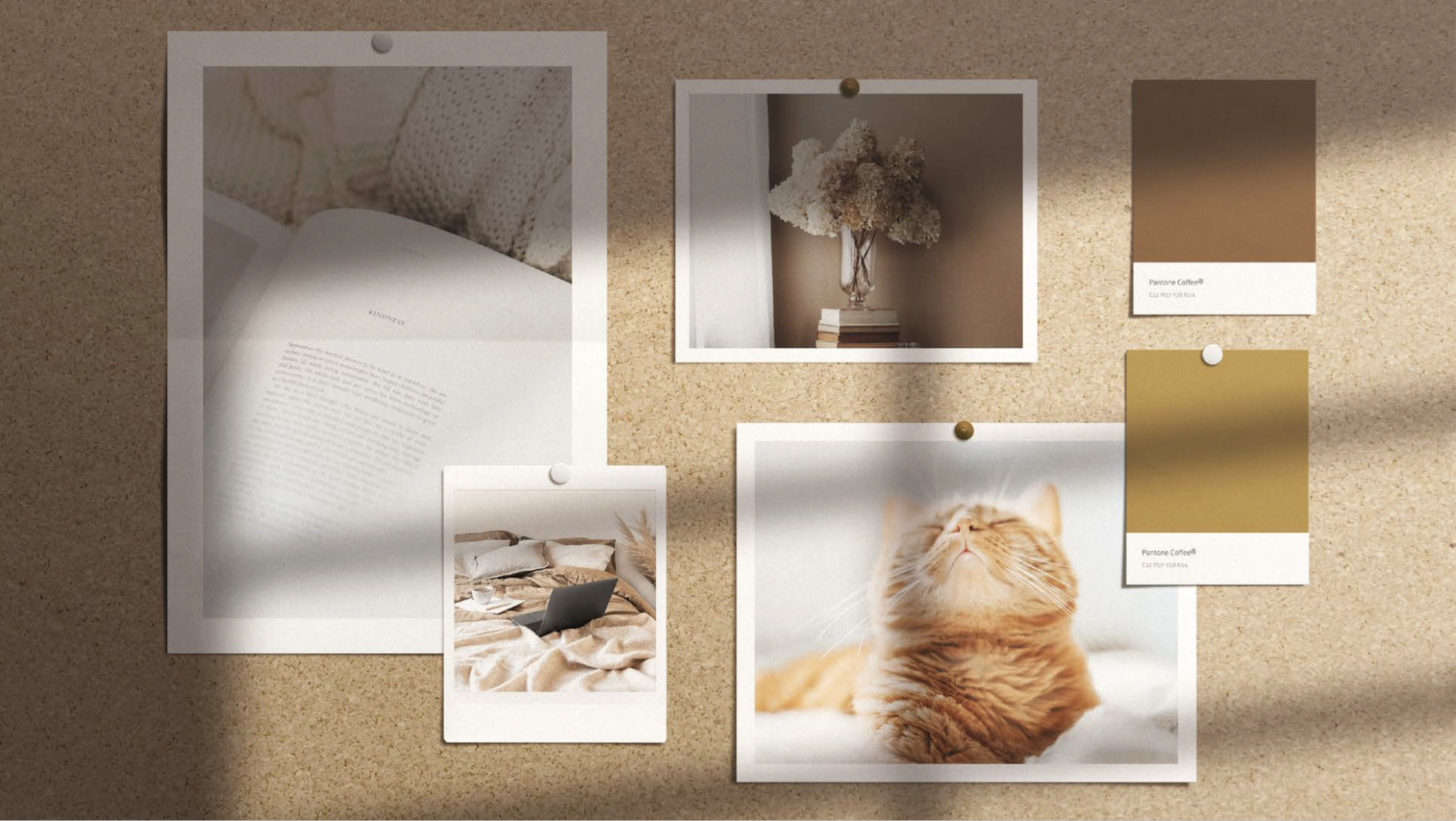 Korkbrettern mit mehreren Fotos, darunter eine Katze, eine Blume, ein Buch und Farbkarten.
